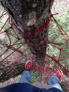 Tree Net : 5 Steps (with Pictures) - Instructables