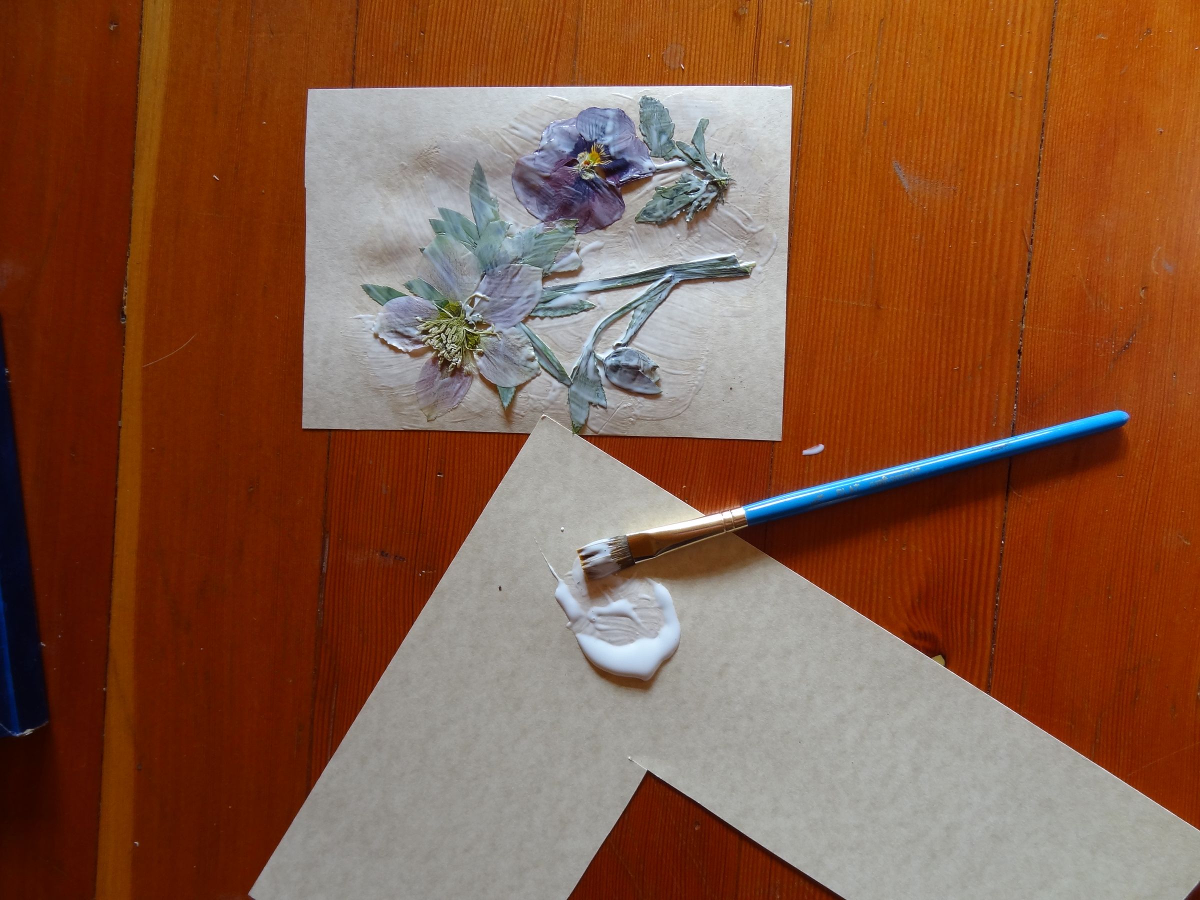 Framed Pressed Flowers *with Mod Podge 4 Steps Instructables
