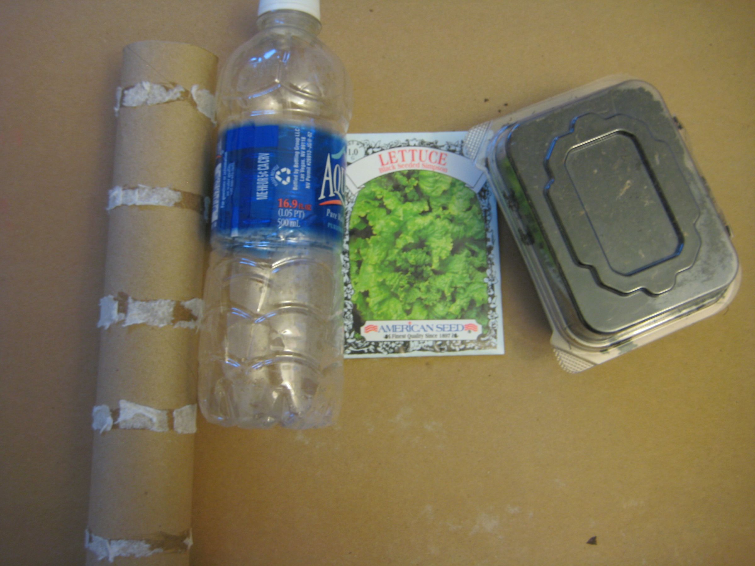 How to Make a Toilet Paper Roll Planter 6 Steps Instructables