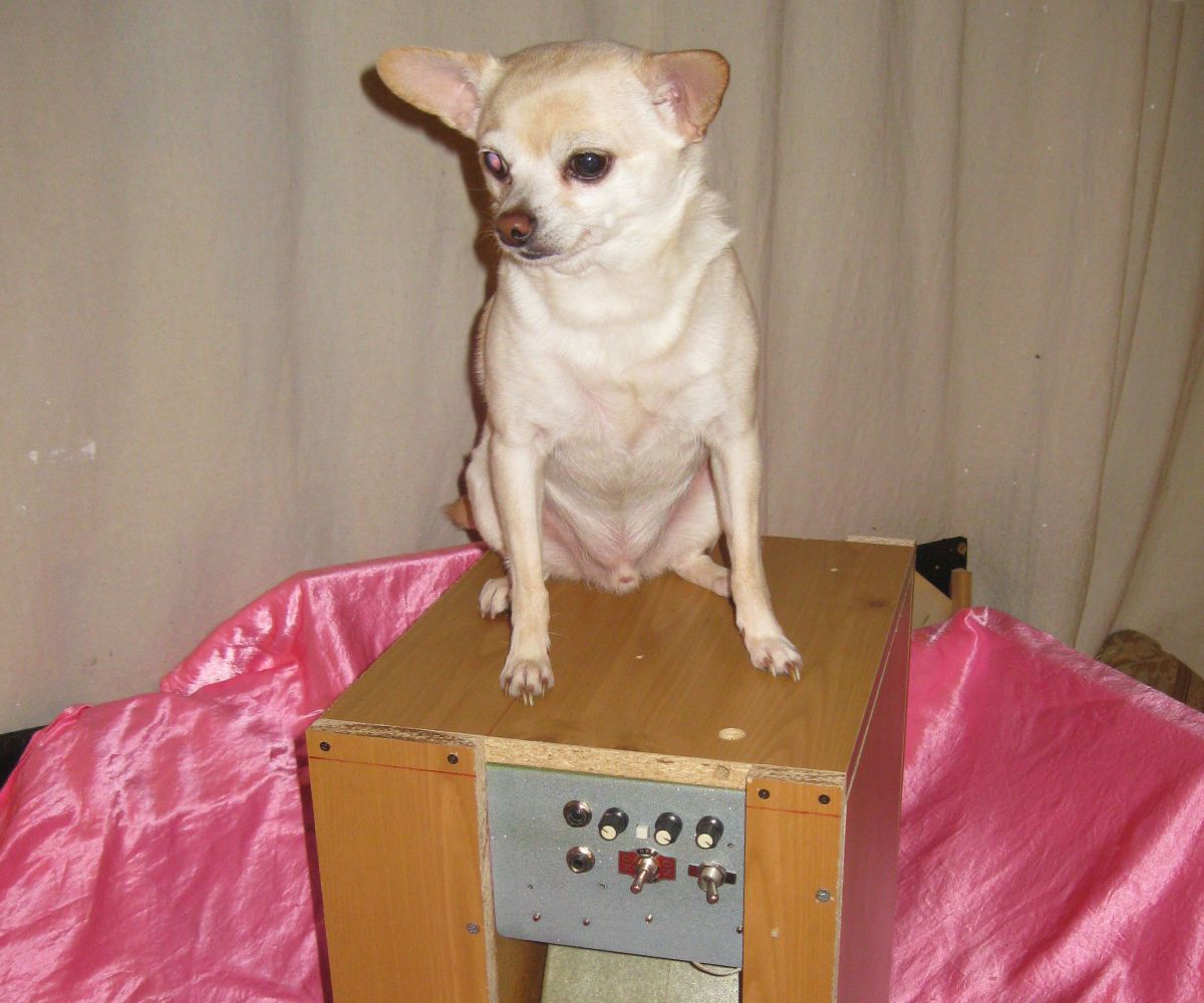 The Organ Donor Project Part 1: the Recyclone Rotary Combo Amp
