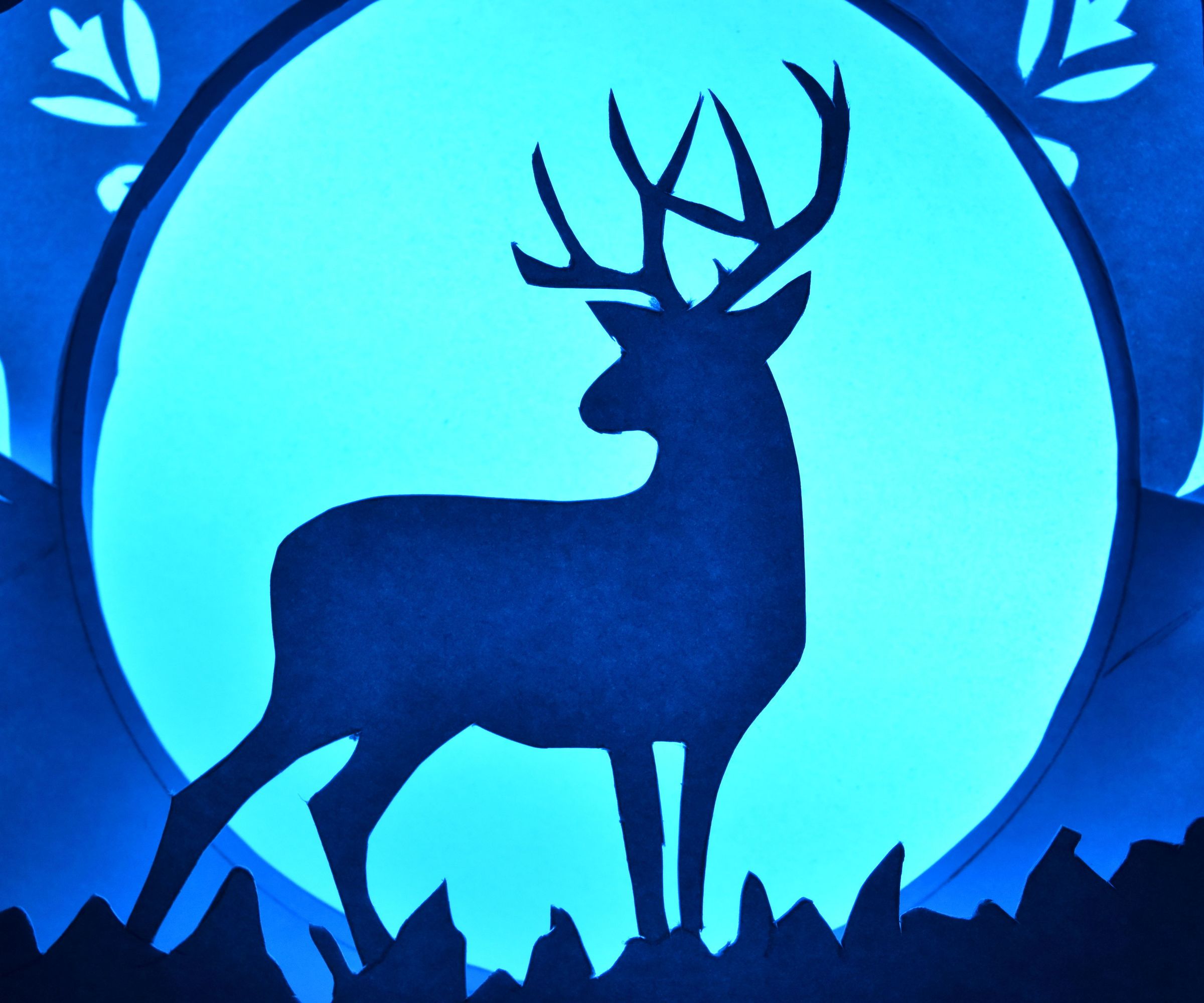 Illuminated Diorama