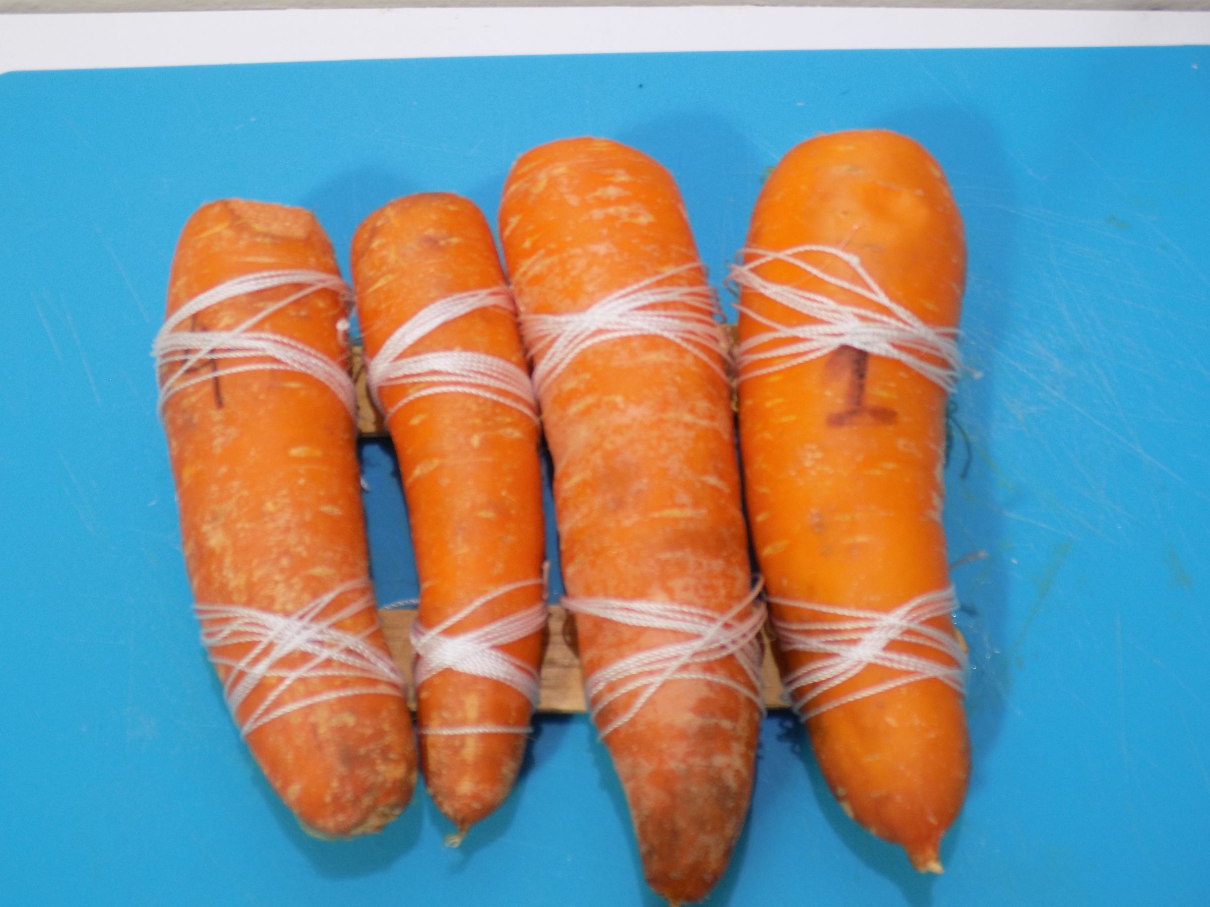 Carrot Pan Flute 4 Steps (with Pictures) Instructables