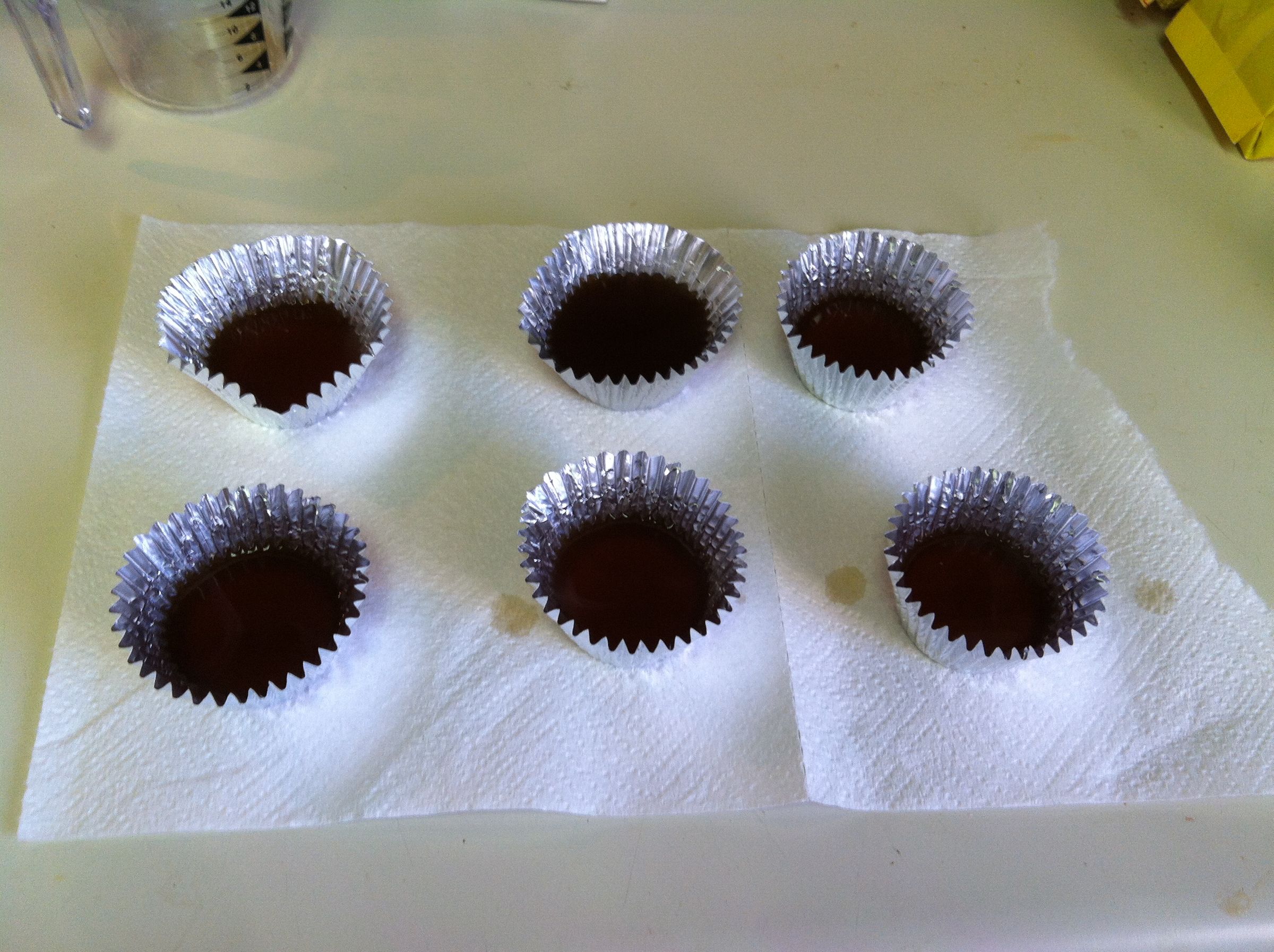 Homemade Gelatin Plates for Growing Microorganisms