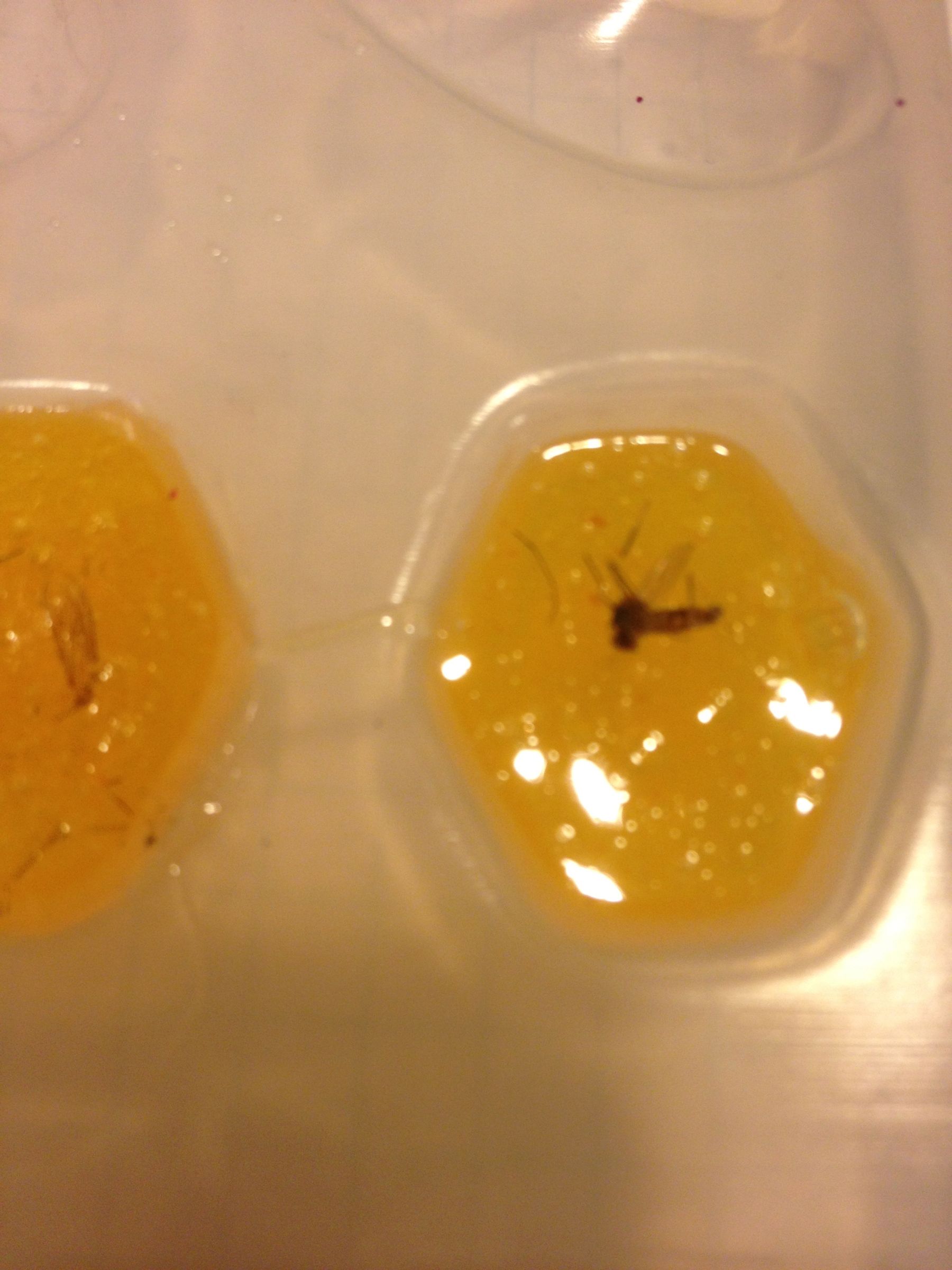 Jurassic Park Pendant