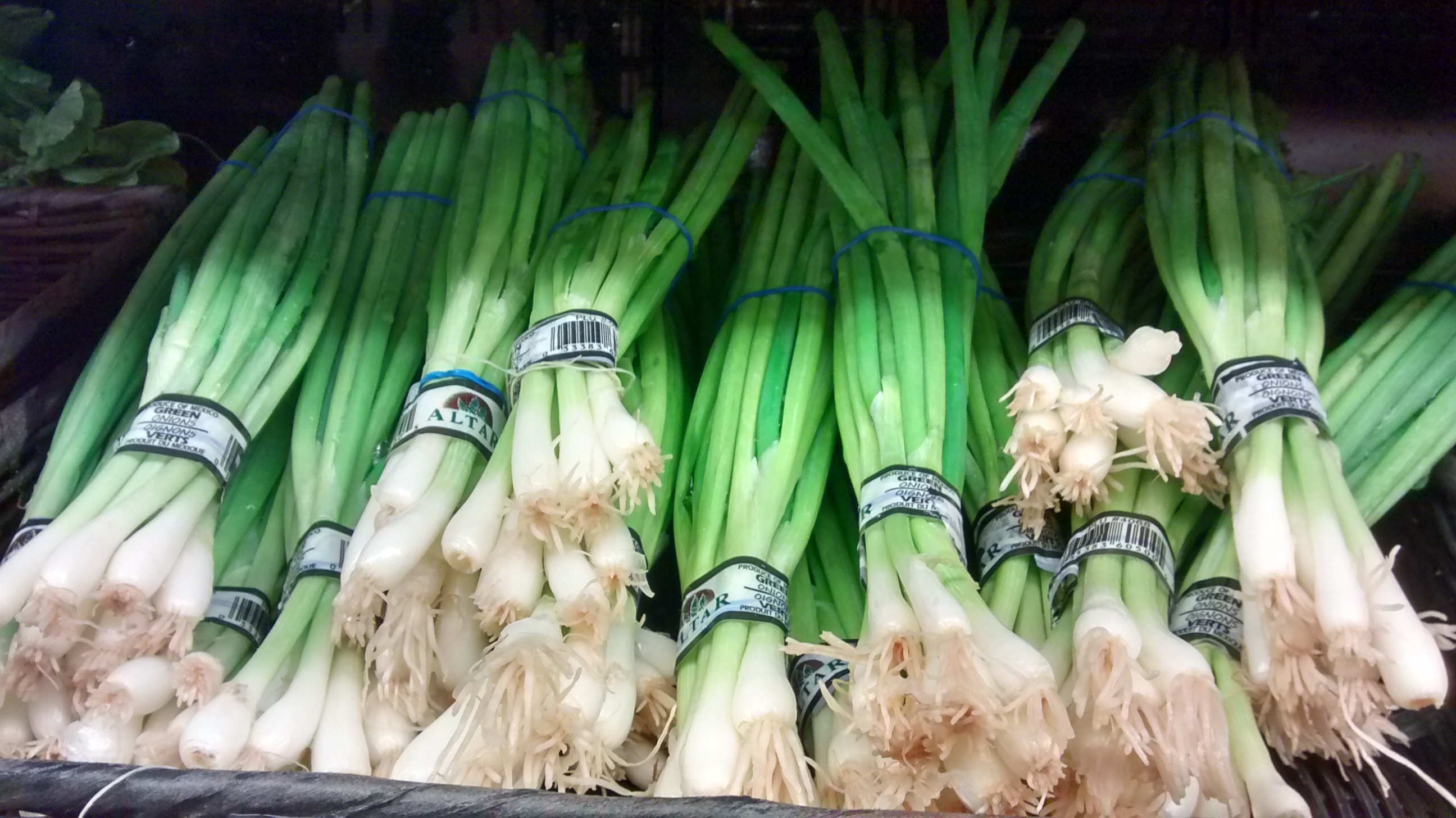 Grow Green Onions No Gardening Required! 3 Steps Instructables