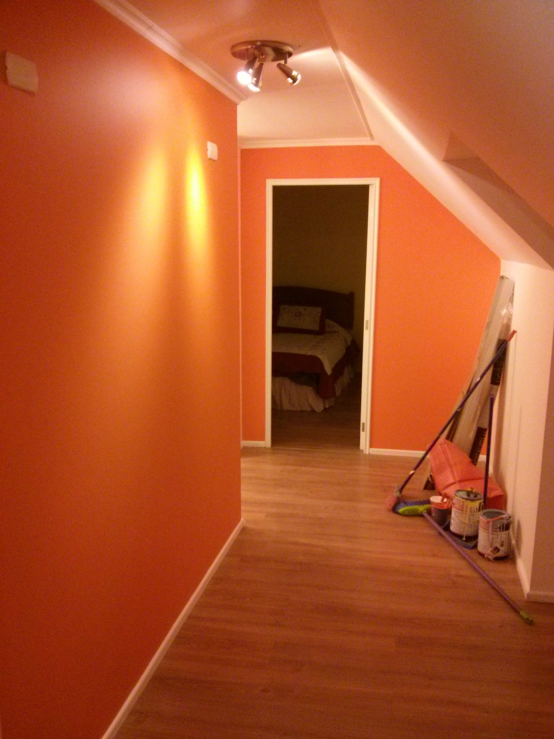 Pintura Esmalte Al Agua