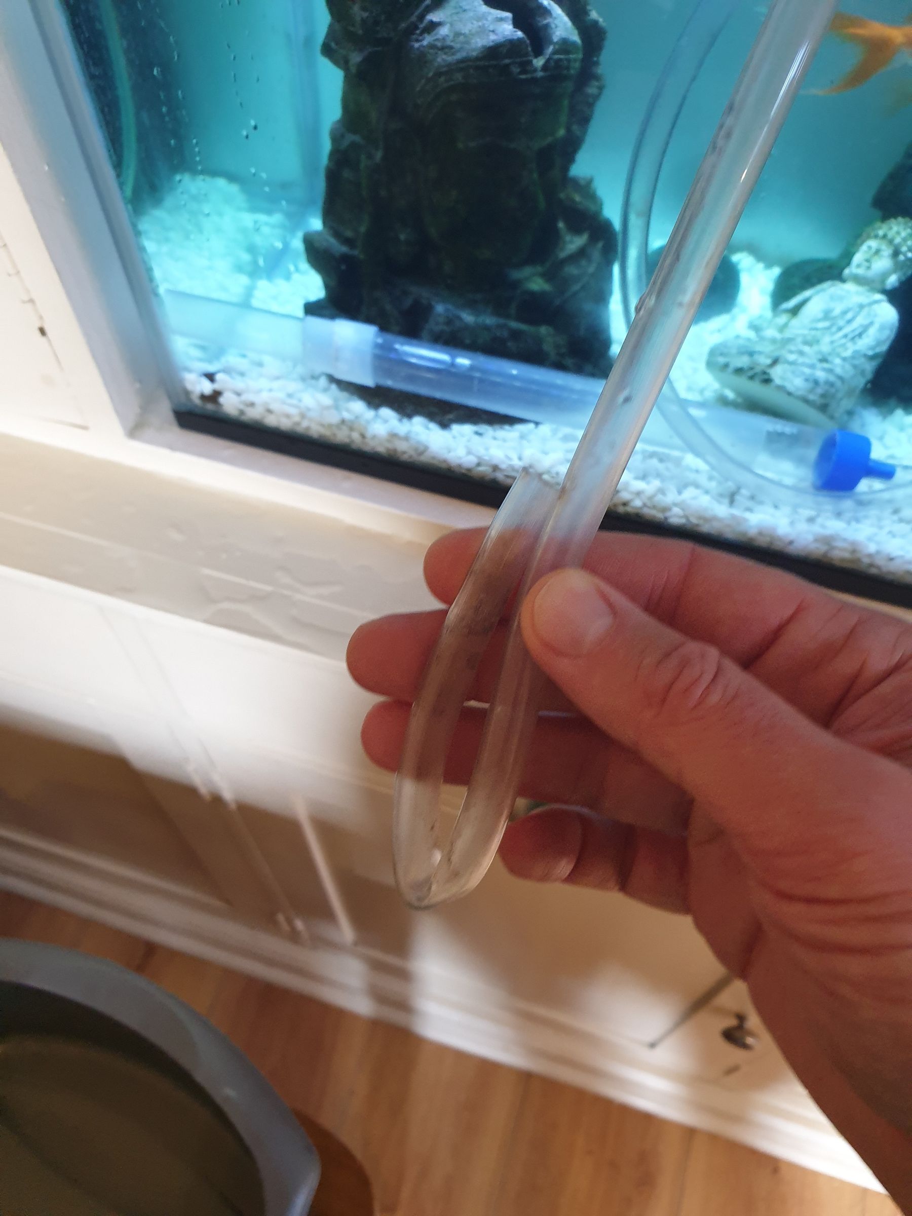 How to Clean a Small Fish Tank and Filter Using a Siphon 4 Steps