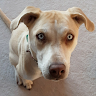 Butterfingers's Profile - Instructables