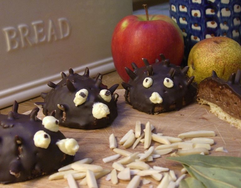 Fantastic Computer Developed Choco-vanilla-butter-cream Hedgehog!!!