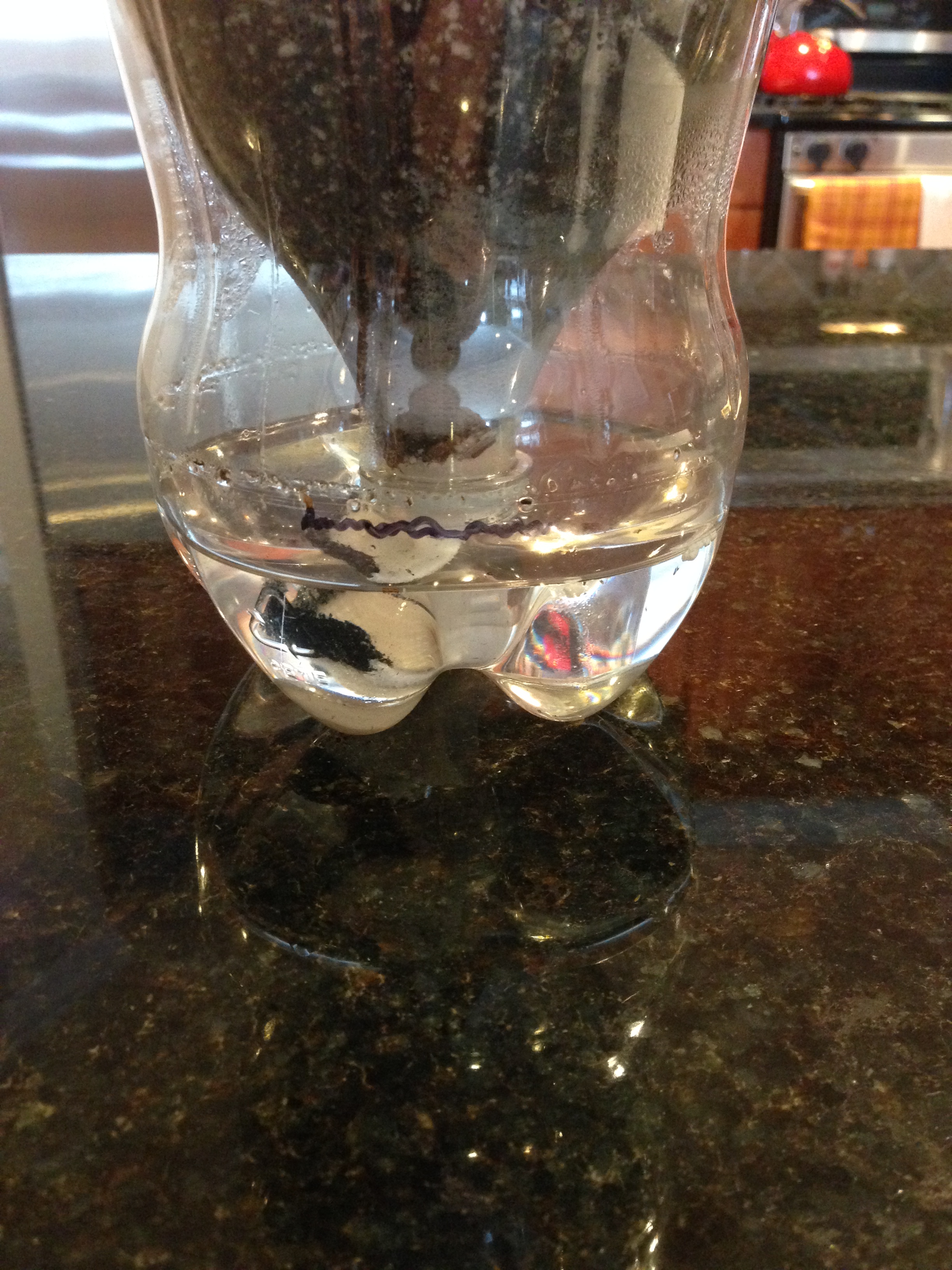 Hydroponic Soda Bottle System 12 Steps Instructables