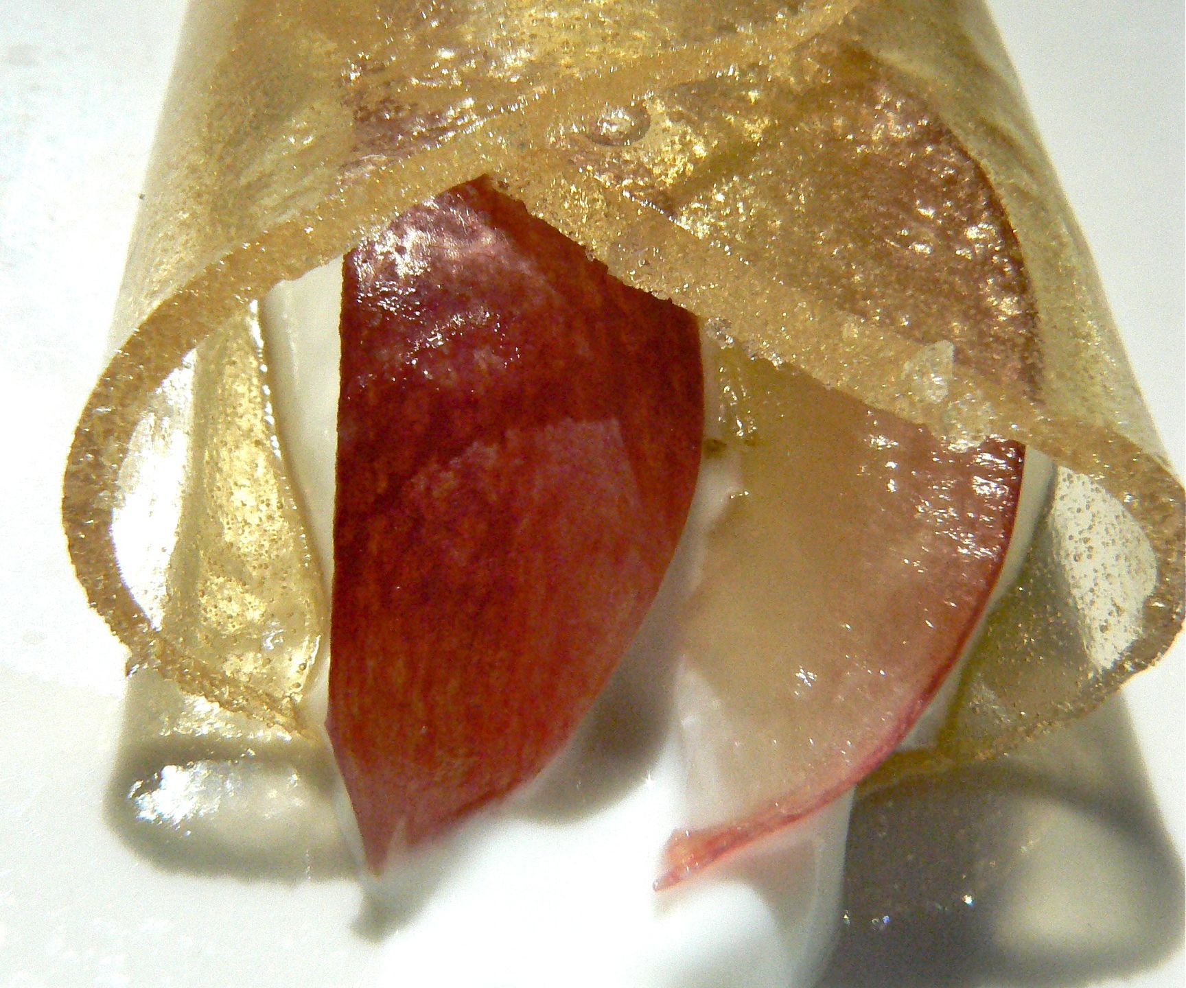 Molcular Gastronomy Honey Wrap