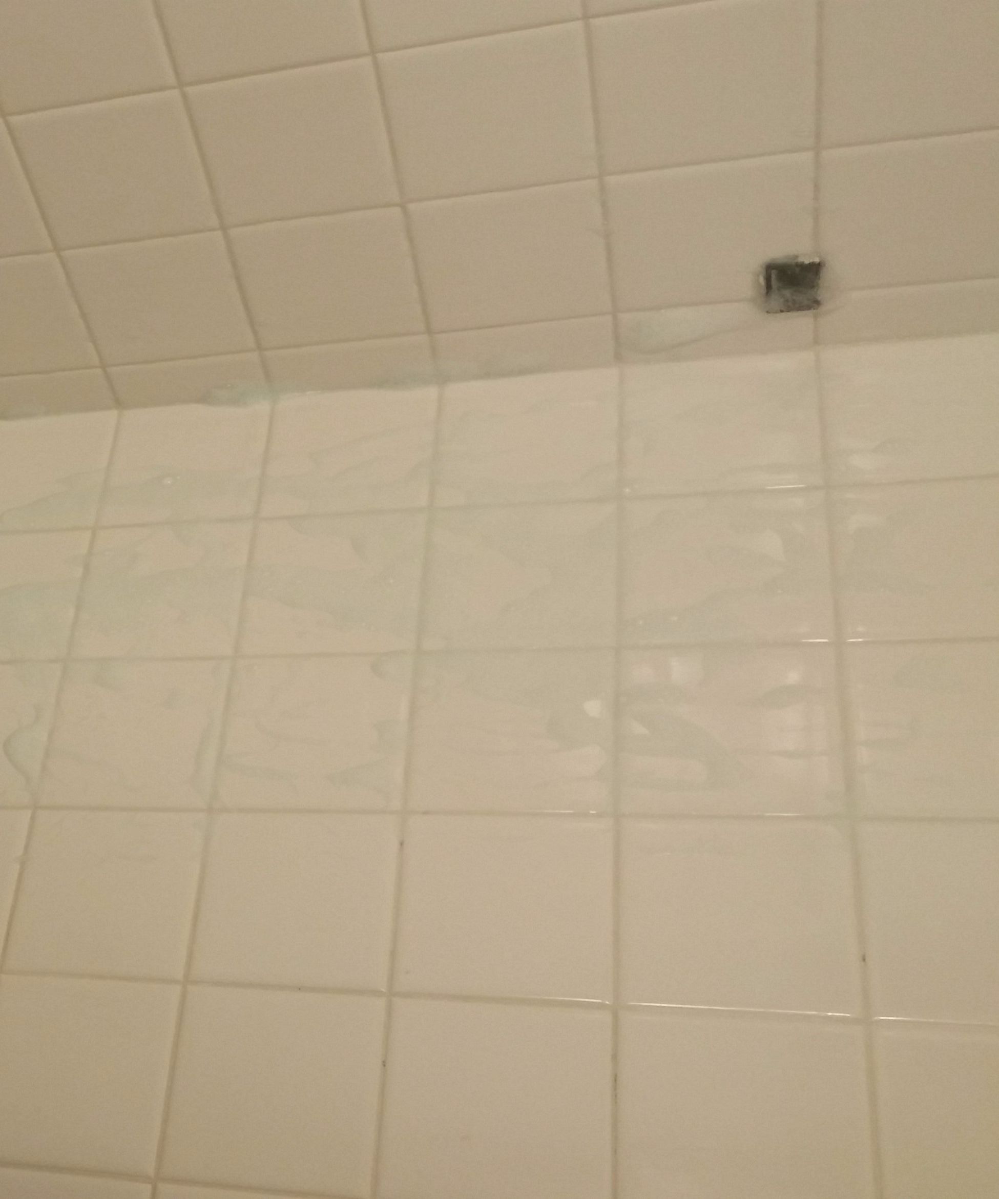 Quick and Easy Tile and Grout Cleaning