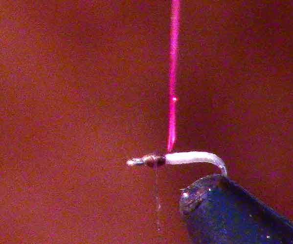 Hotspot Midge Fly