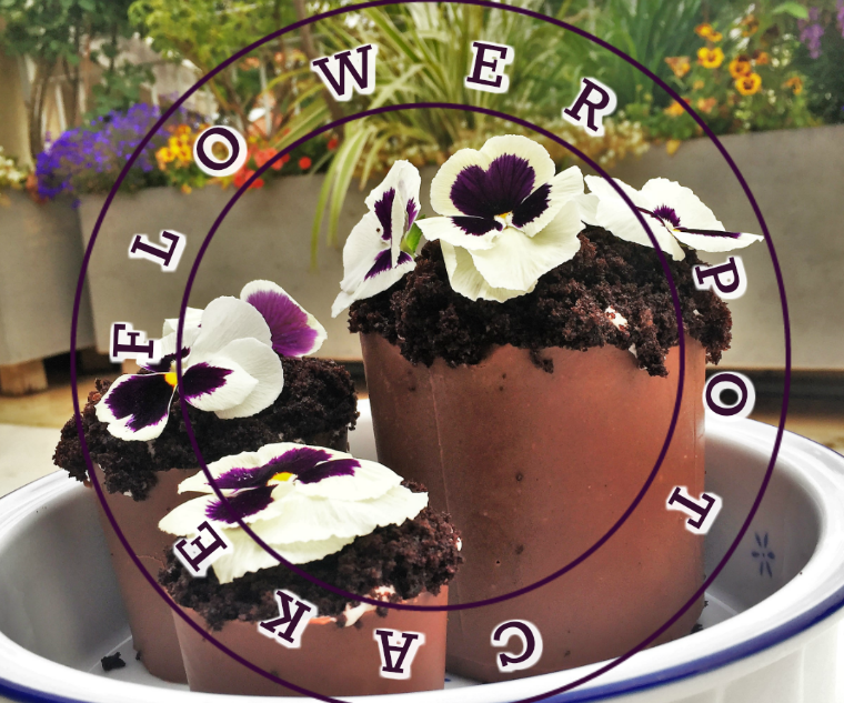 Flower Pot Cake