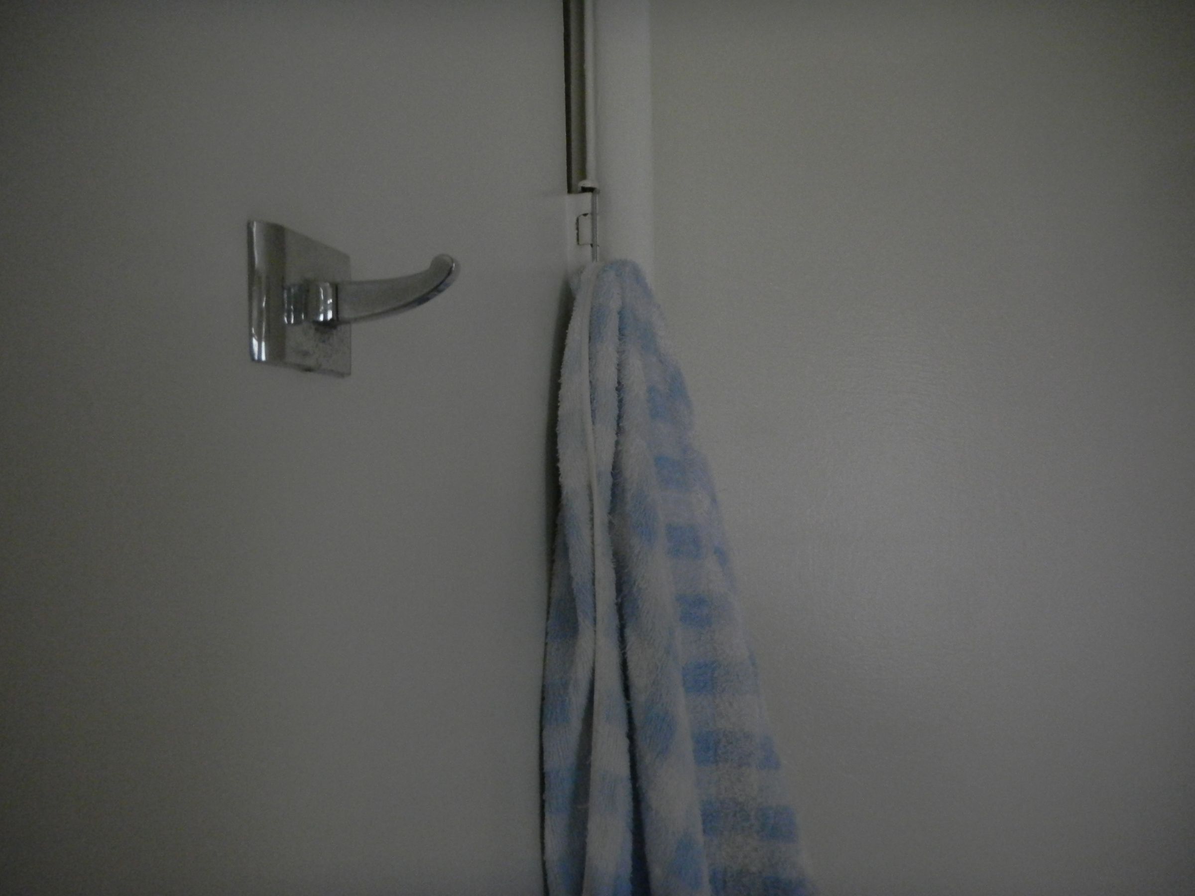 Door Hinge Hook - $0 Project #2
