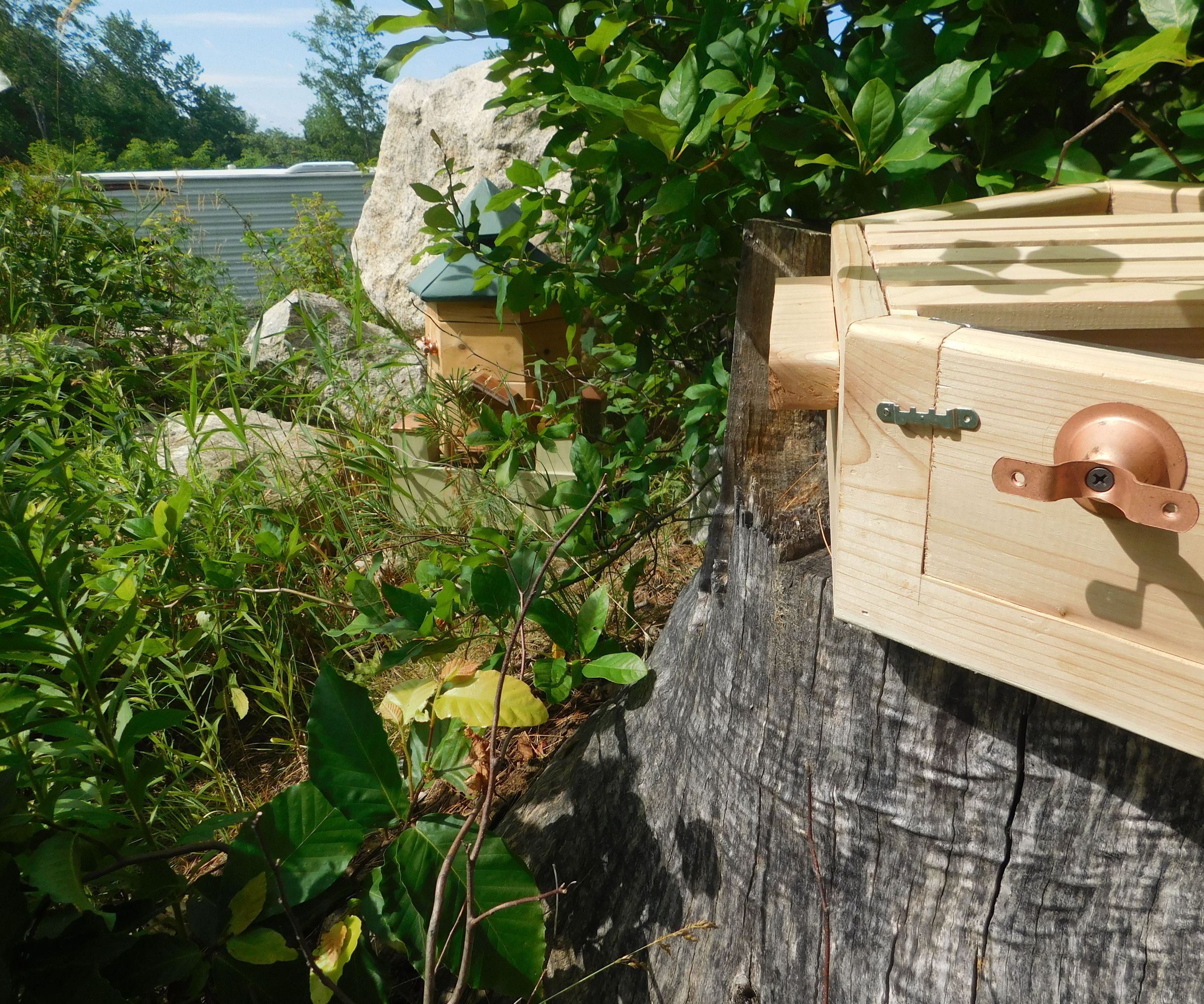 Observation Window for Hexagonal Beehive