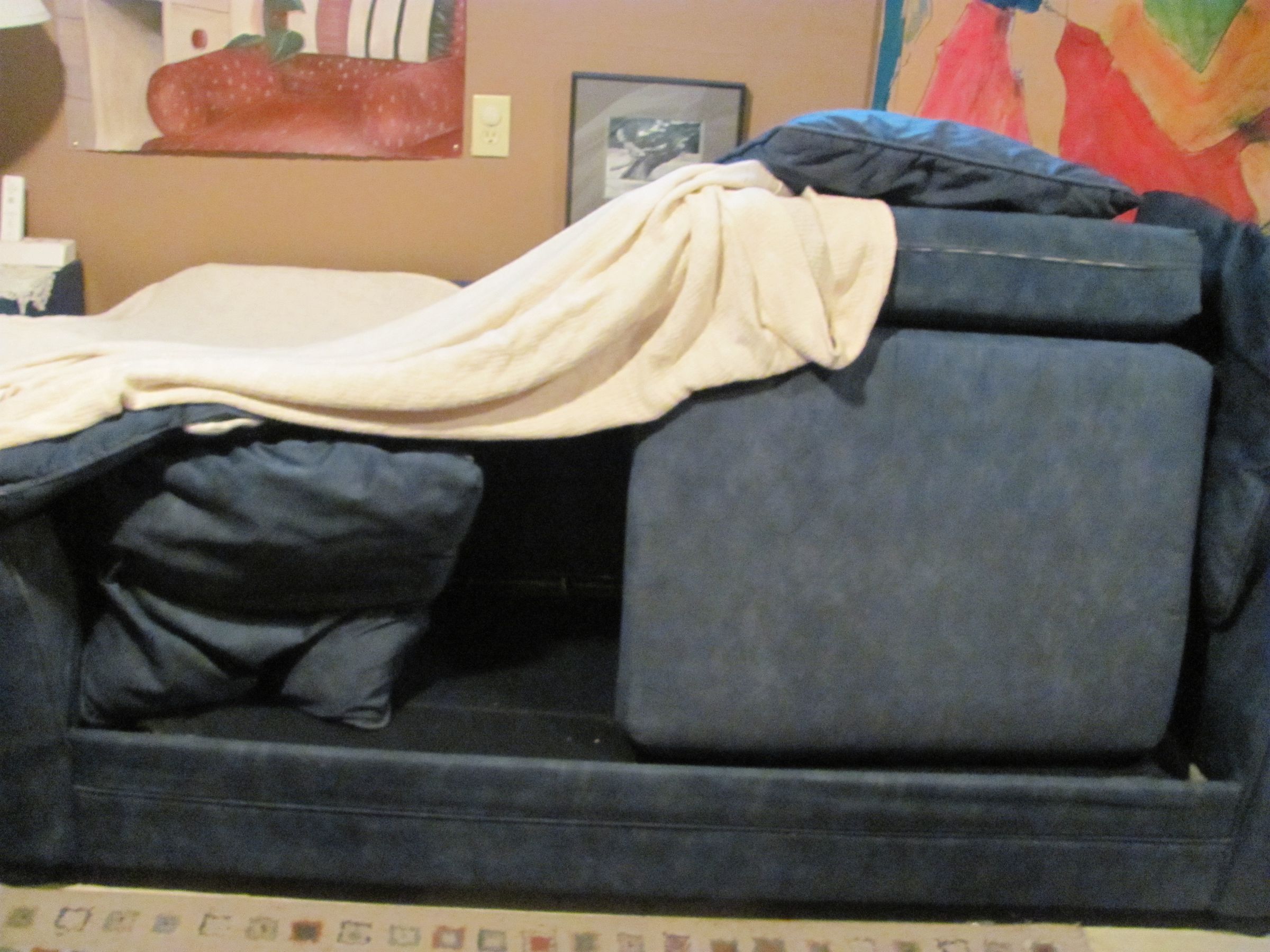 Build a Fort Out of a Couch