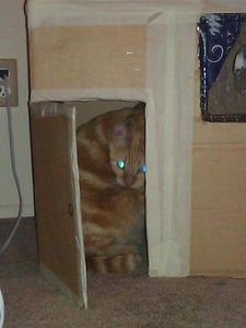Kick Butt Cardboard Pet House (Easy-Hard Up to You)
