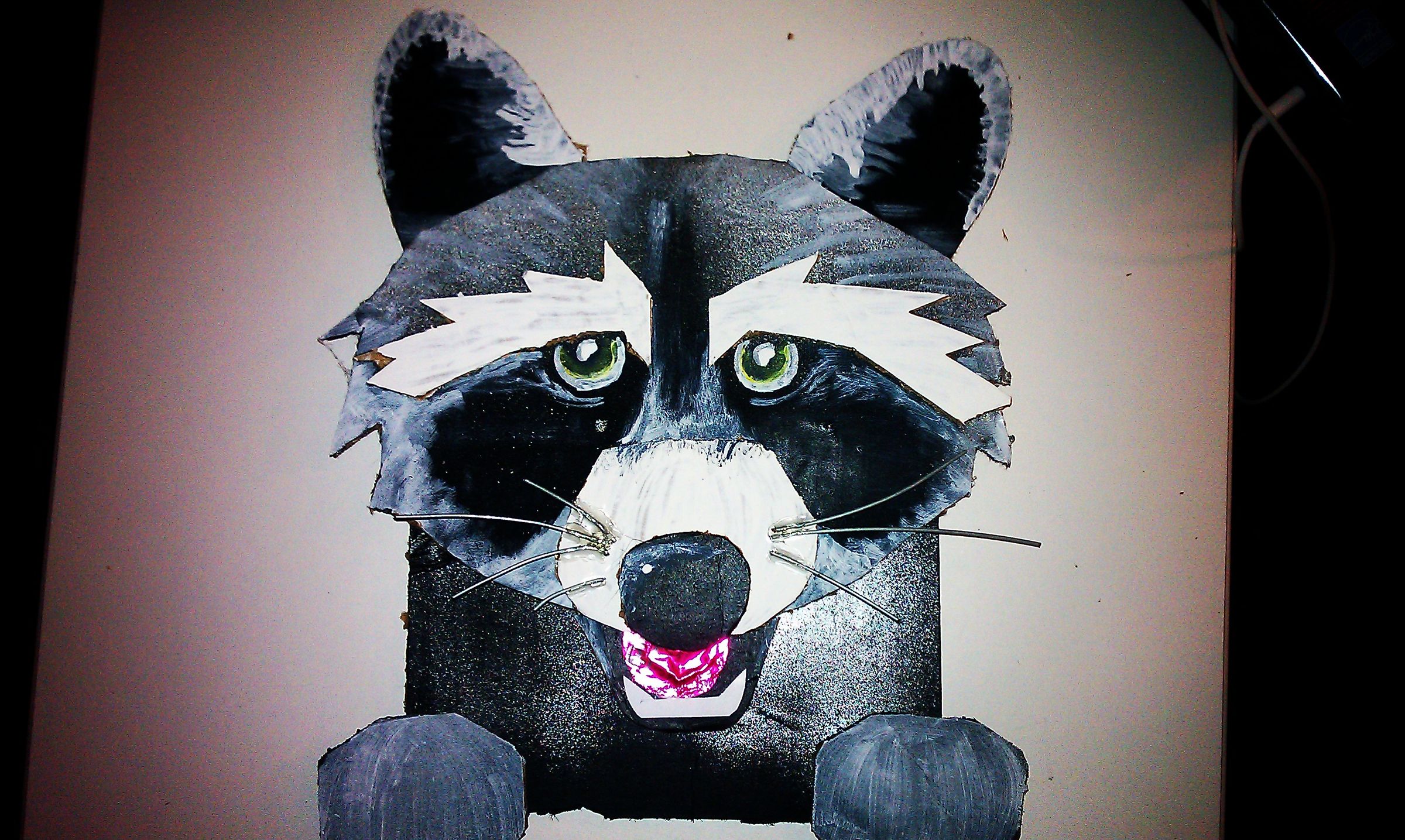 Random Raccoon