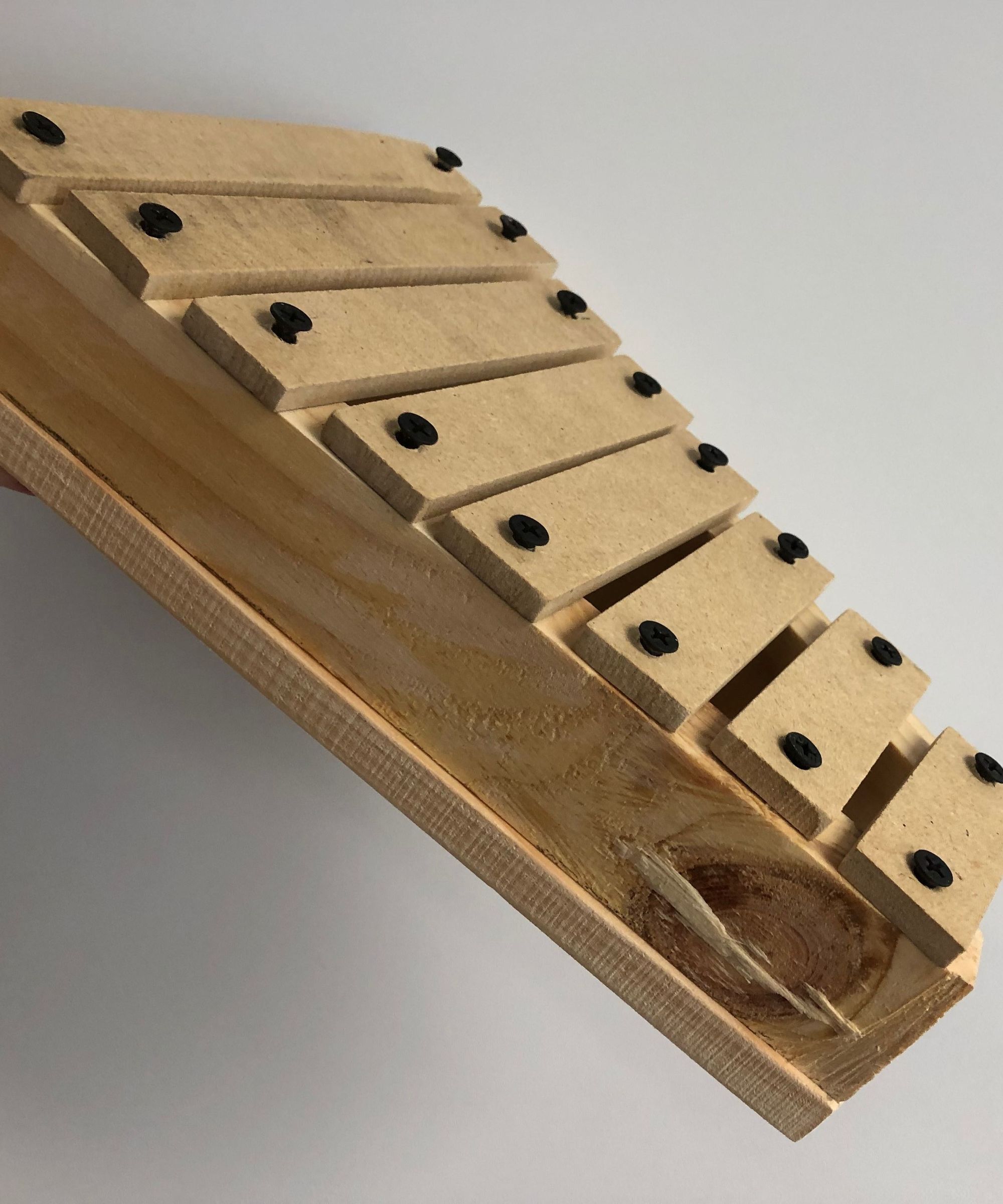 Flinn Xylophone Kit