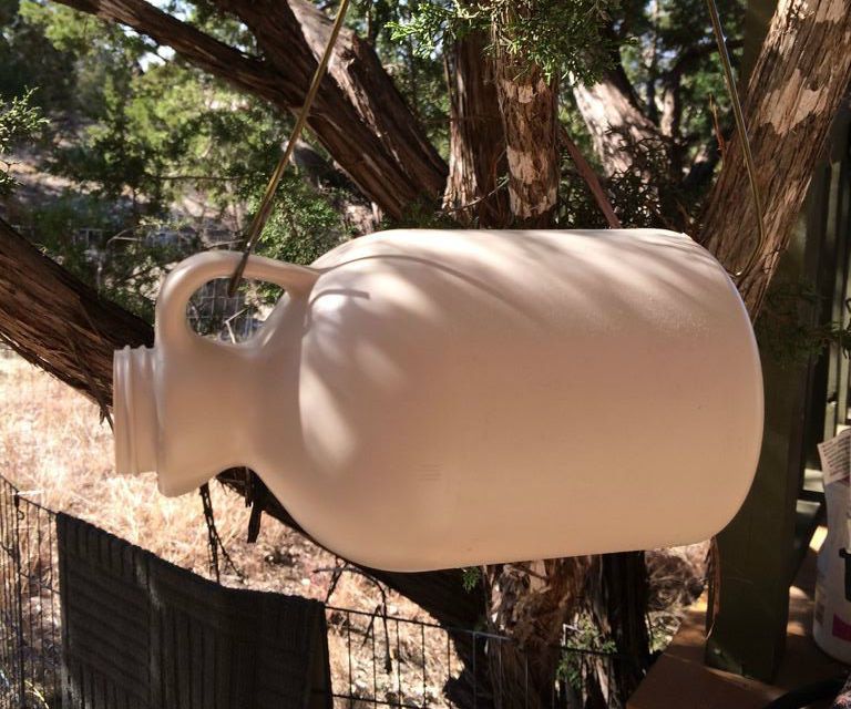 Maple Syrup Jug Birdhouse 