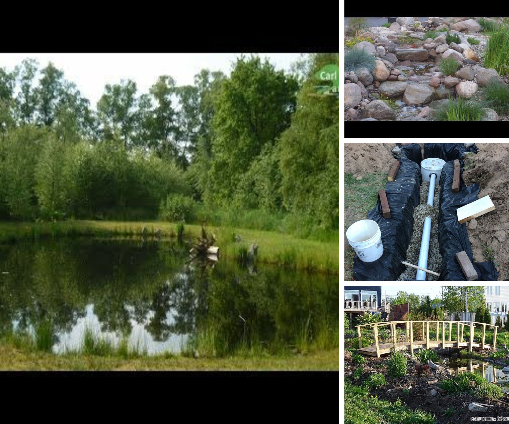 HOUSE - Garden & Exteriors