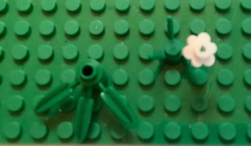 Create the Flower Arrangement