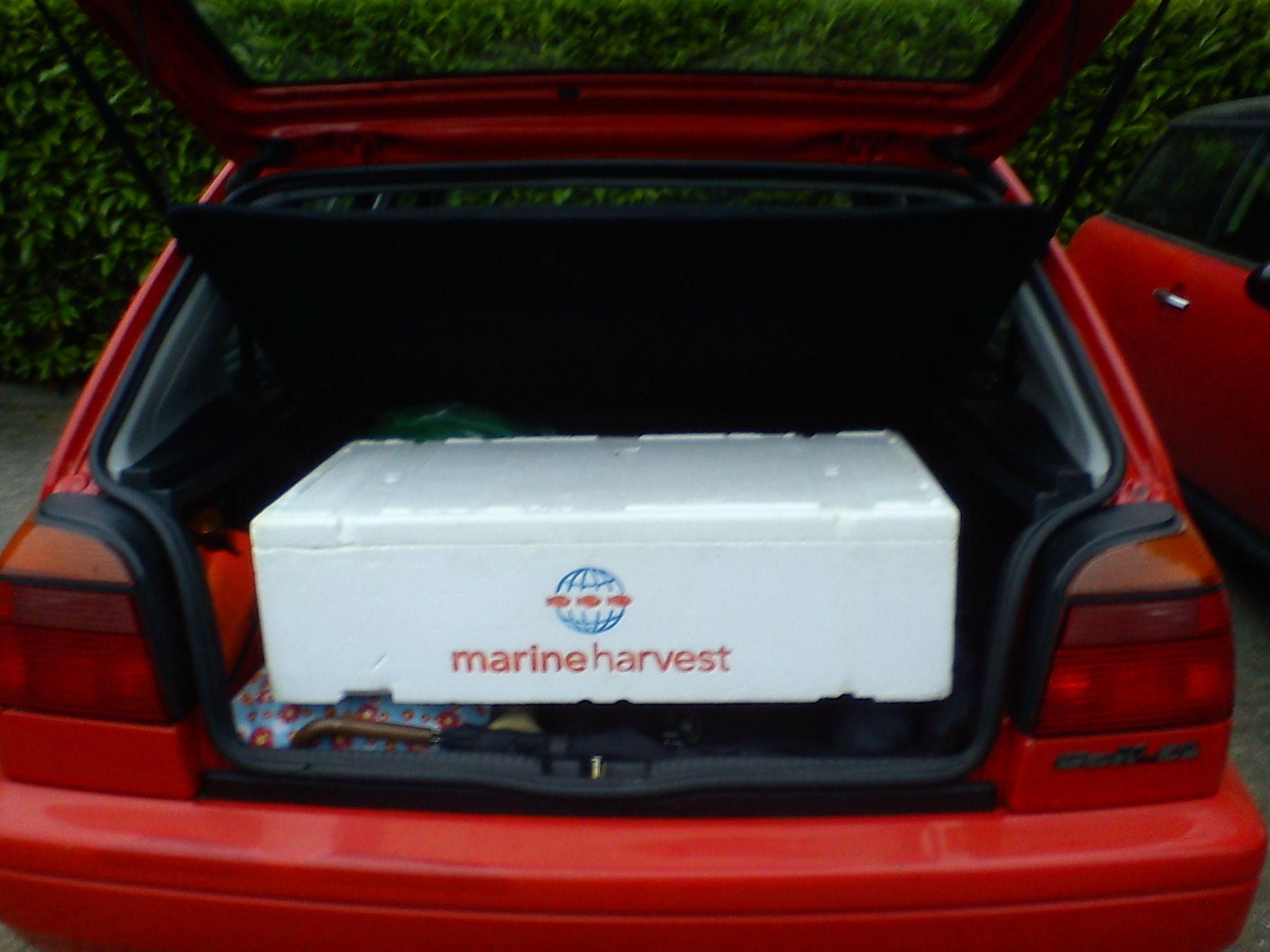 Recycled Fish Box Cooler / Cool Box