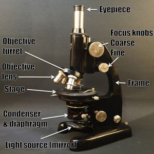 Revive an Old Microscope: Proper Cleaning, New Light Source (with ...