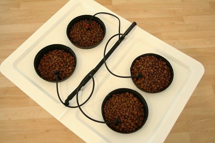 Hydroponics Grow Kits - Advanced DWC