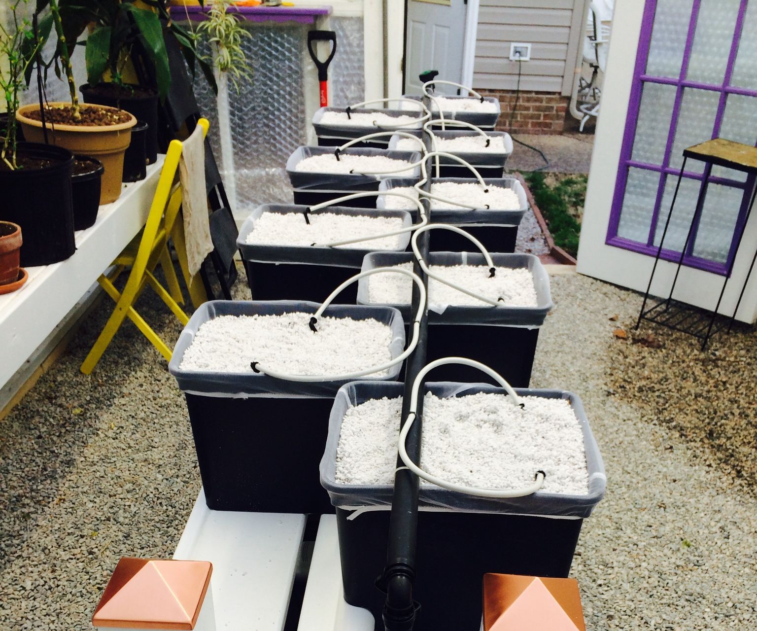 Dutch Bucket Hydroponic System