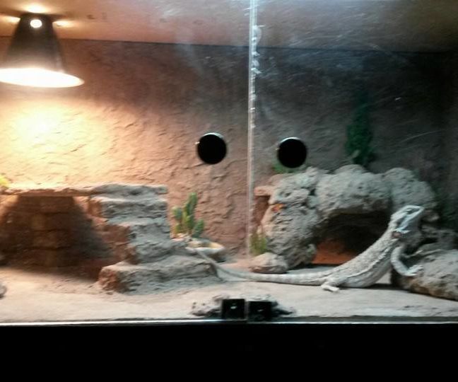 Greg's Enclosure