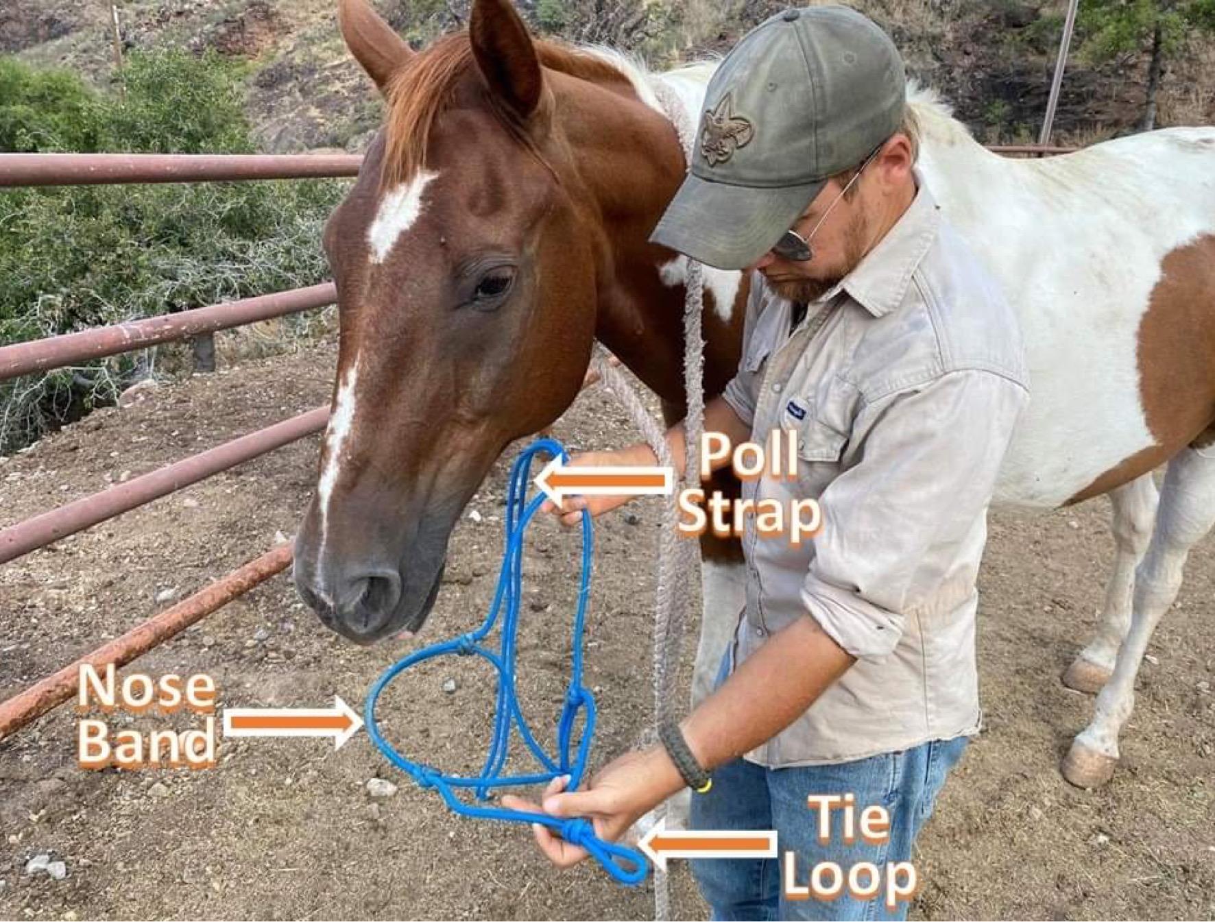 How to Halter a Horse Fit & Tie a Rope Halter 6 Steps (with