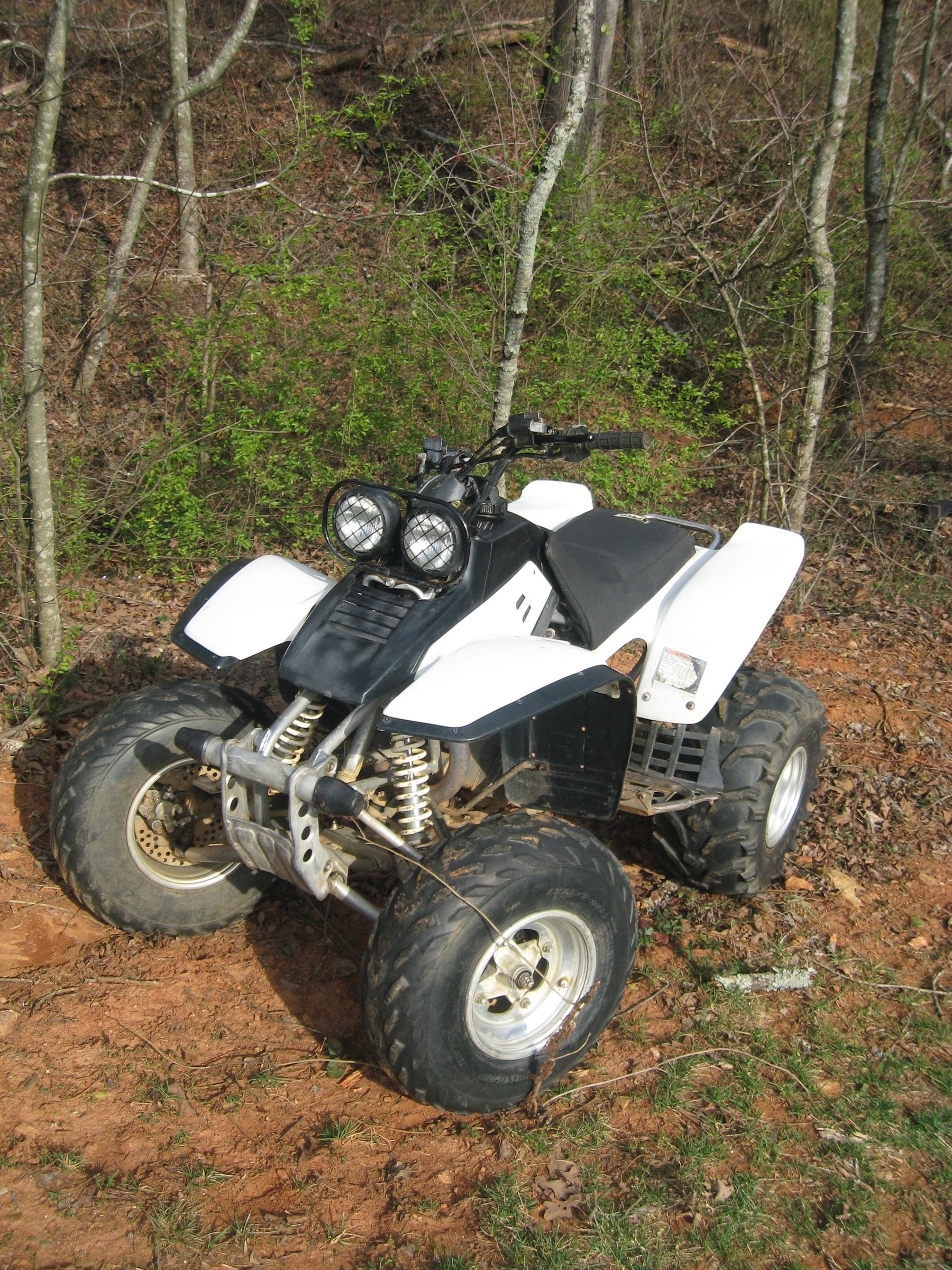 2001warrior