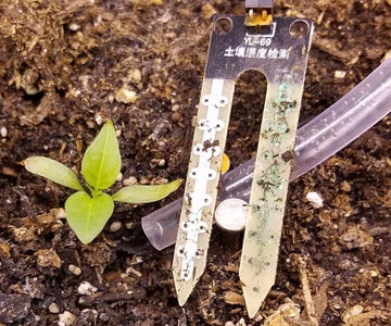 Resistive Sensor Electrode Corrosion