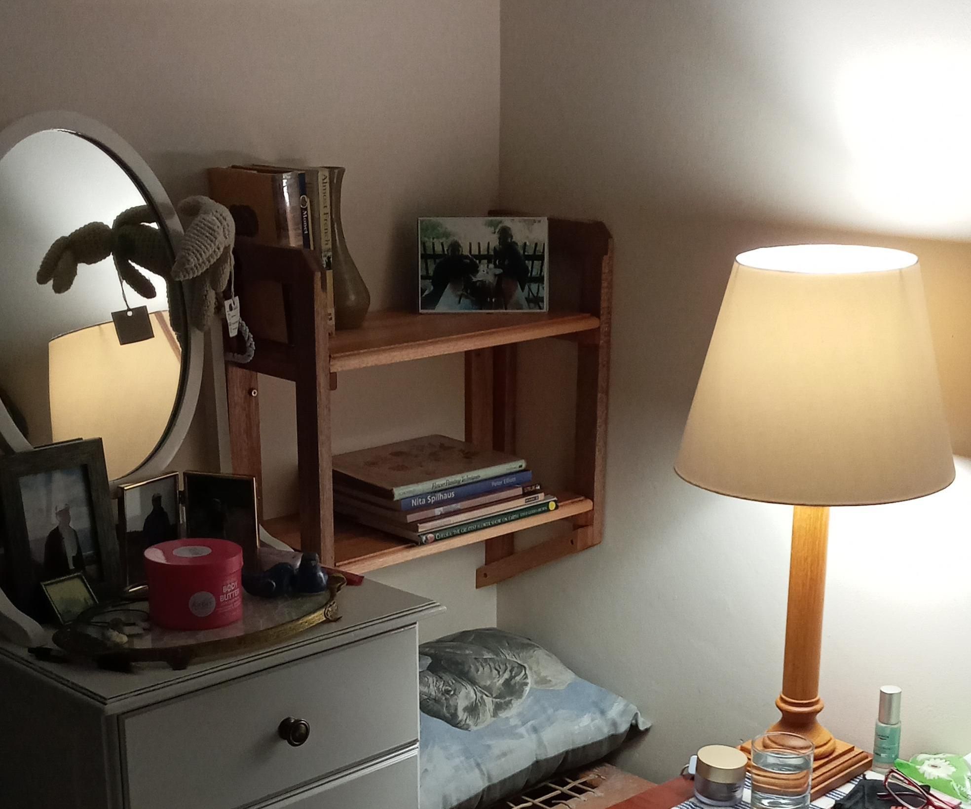 Hanging Bookshelves