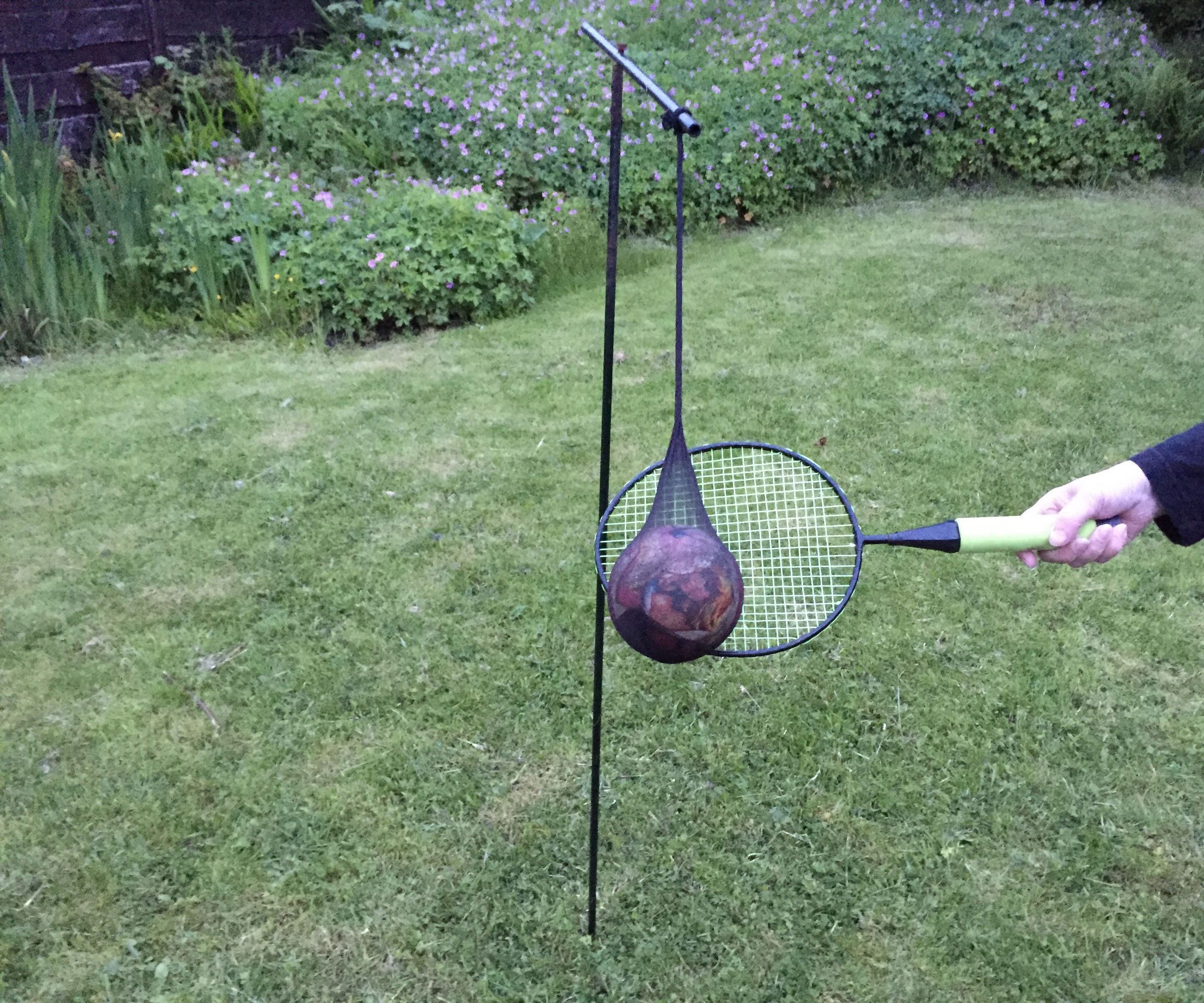 Back Yard Ball Basher