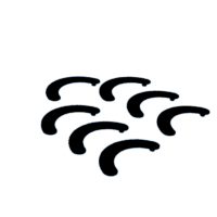 download {{ file.name }}