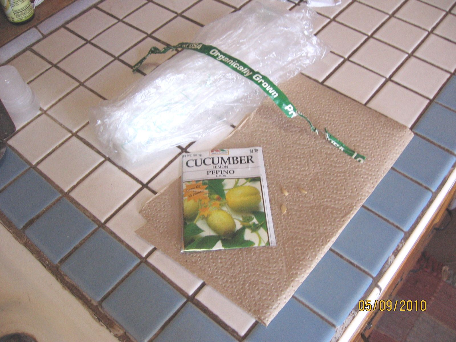 Quick-start Cucumber Plants