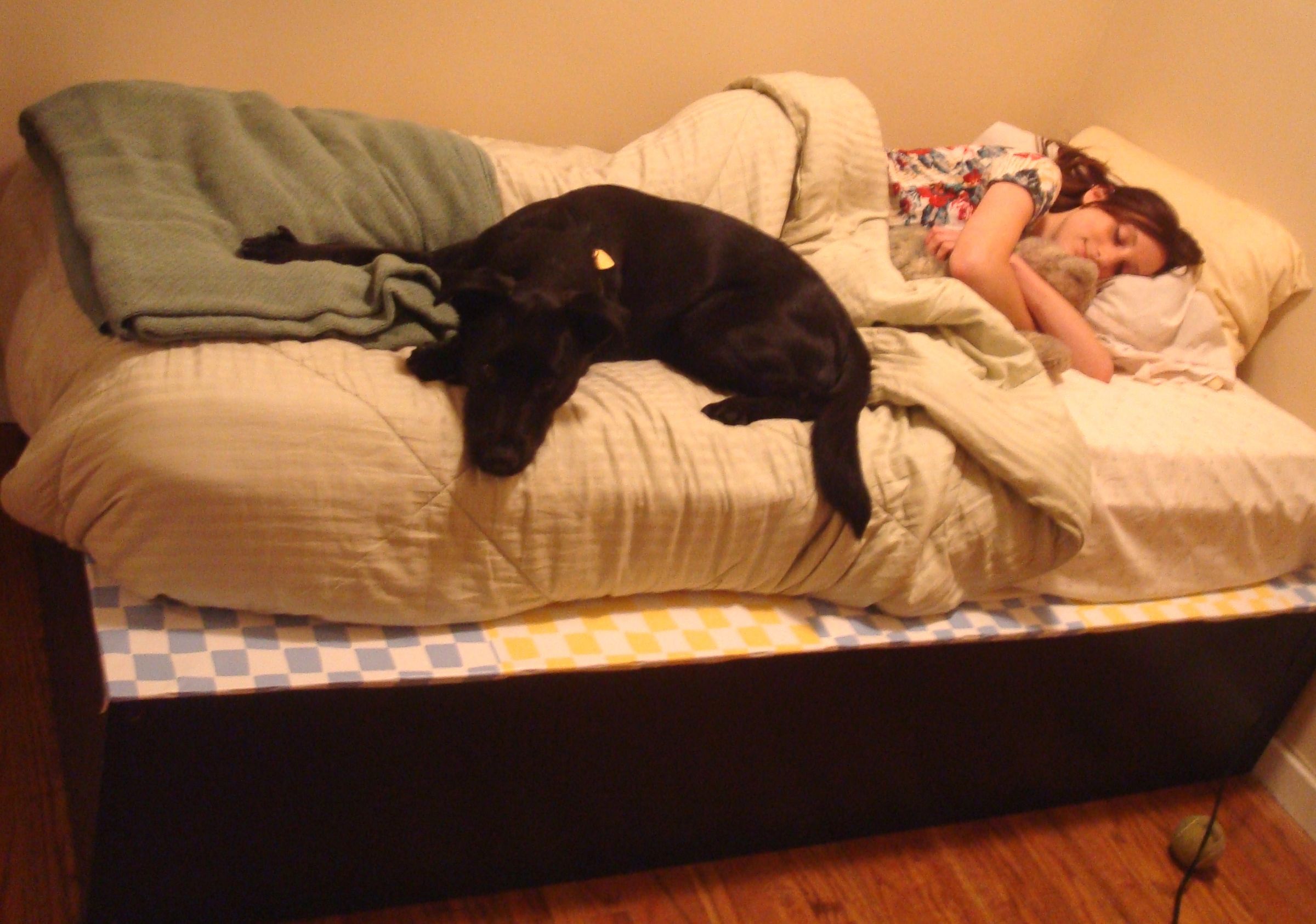 Bookshelf Re-purposed Into Bed!