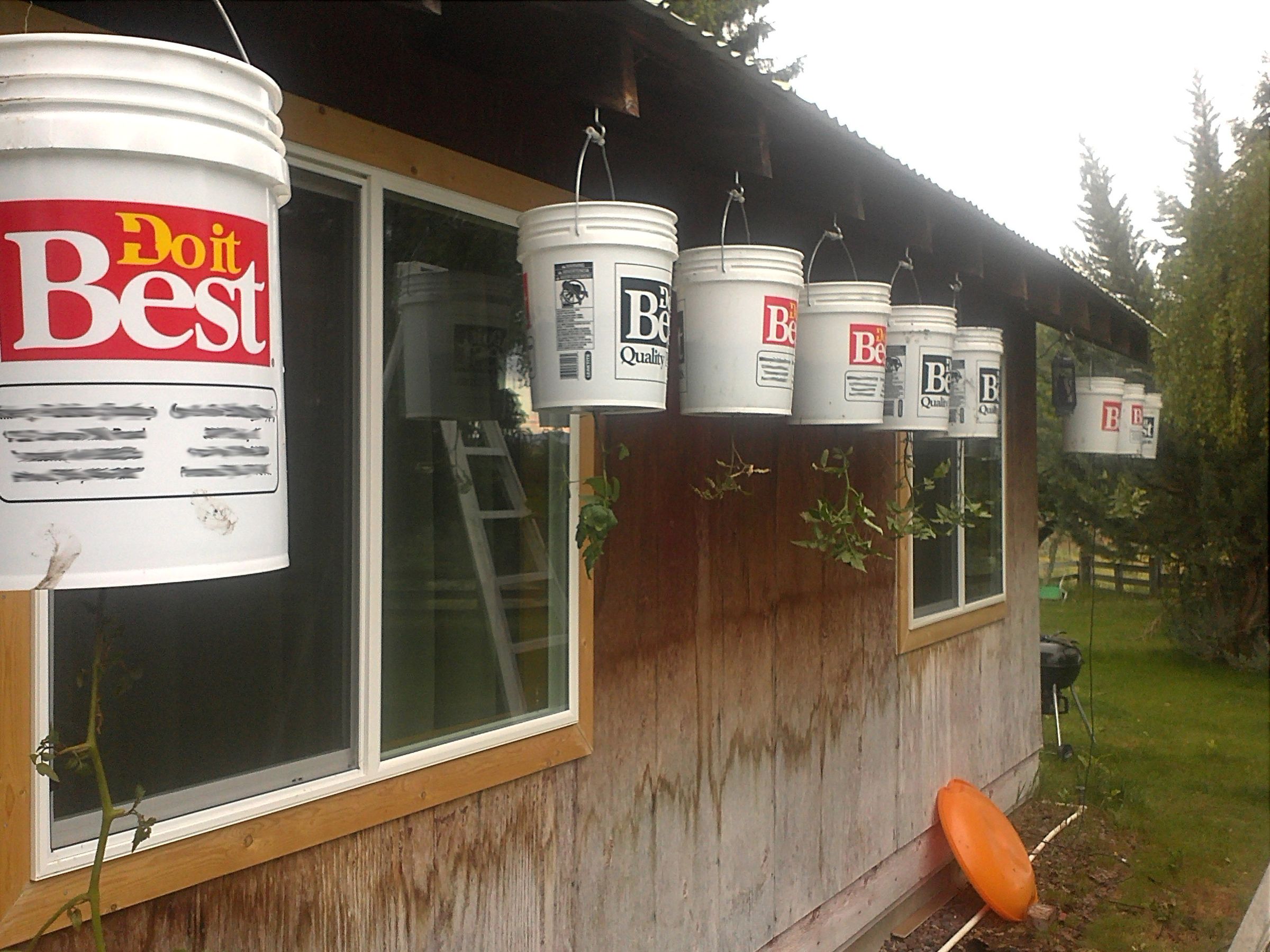 Easy Topsy Turvy Tomatoes for Cheap