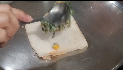 Toasting Our Sandwhich 