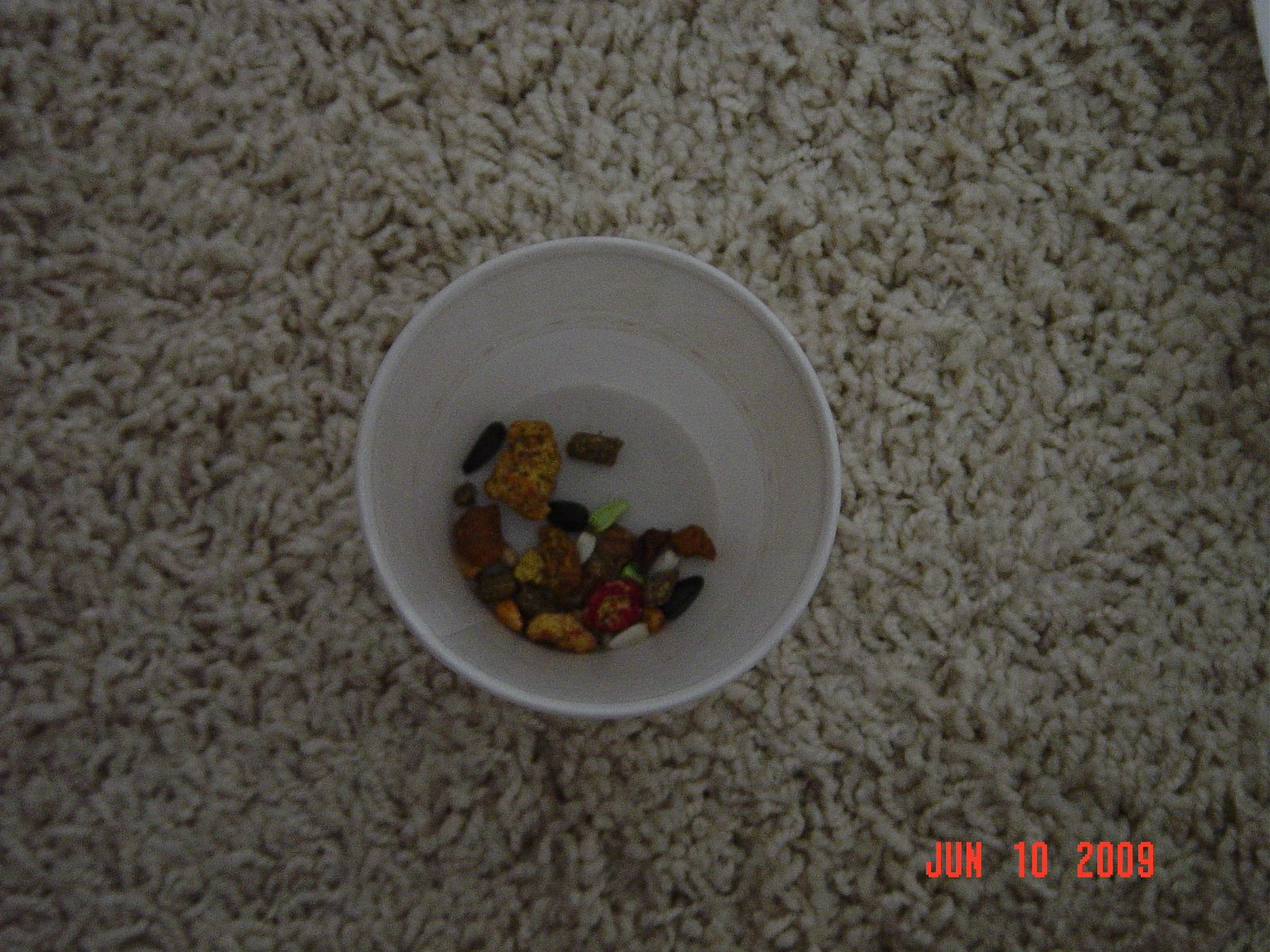 Homemade Gerbil Toy 4 Steps Instructables