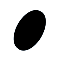 download {{ file.name }}