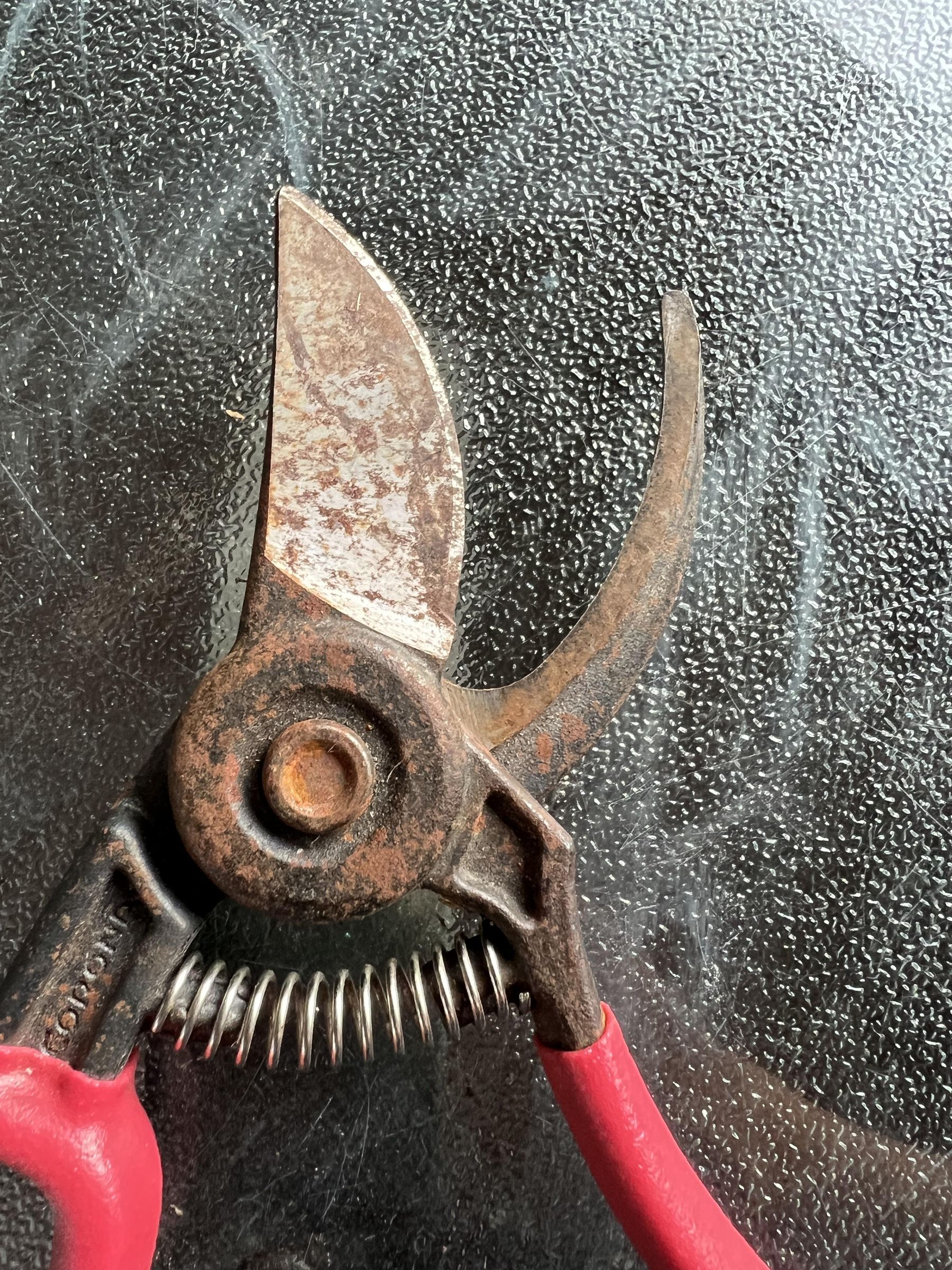 Sharpening Clippers 4 Steps Instructables