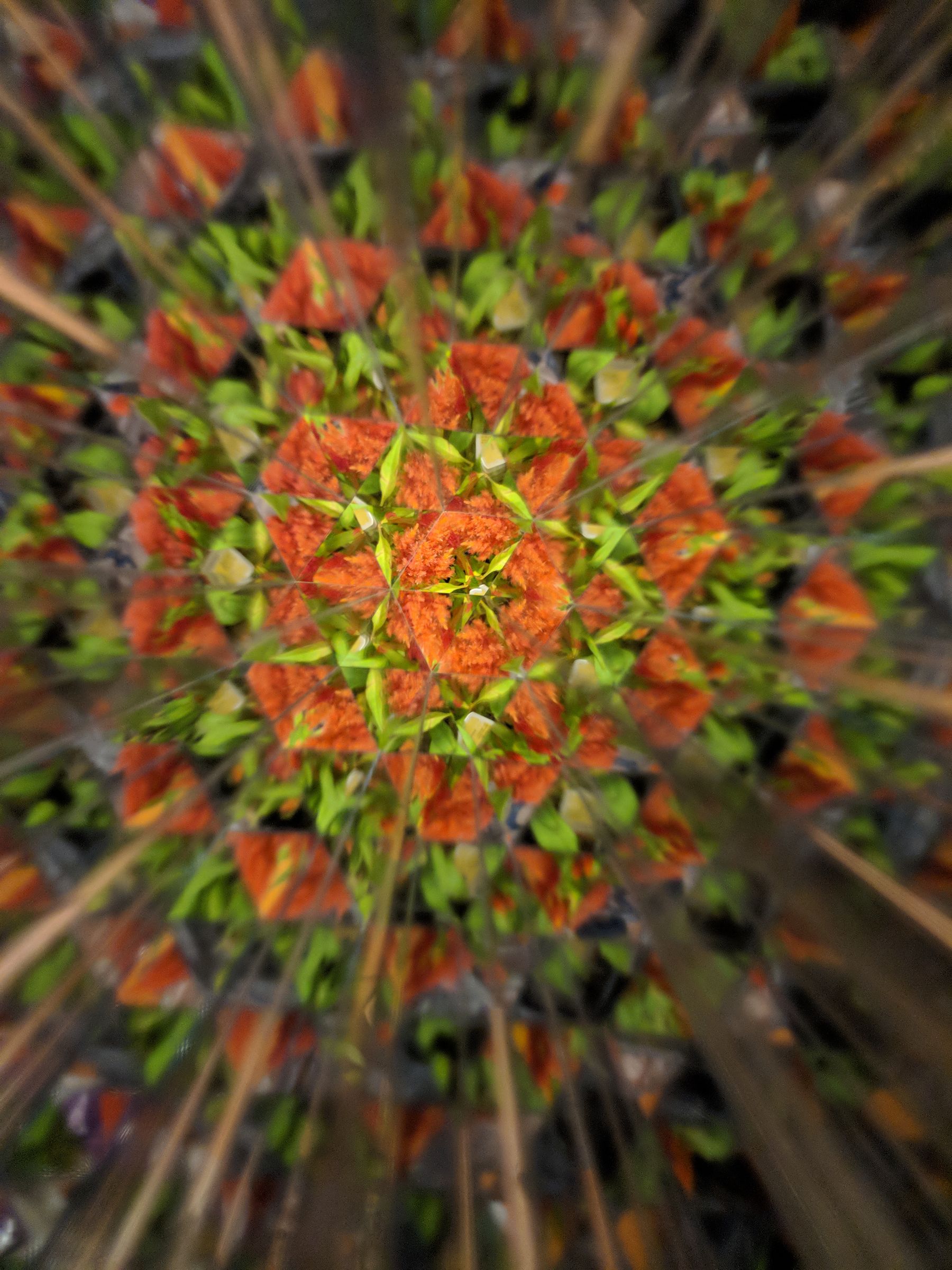 Tabletop Kaleidoscope Planter 6 Steps (with Pictures) Instructables