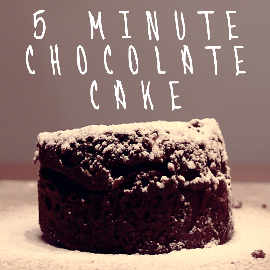 5 Minute Microwave Chocolate Cake in a Mug!