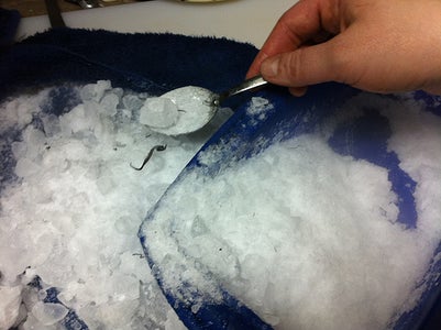 Chocolate Raspberry Tree