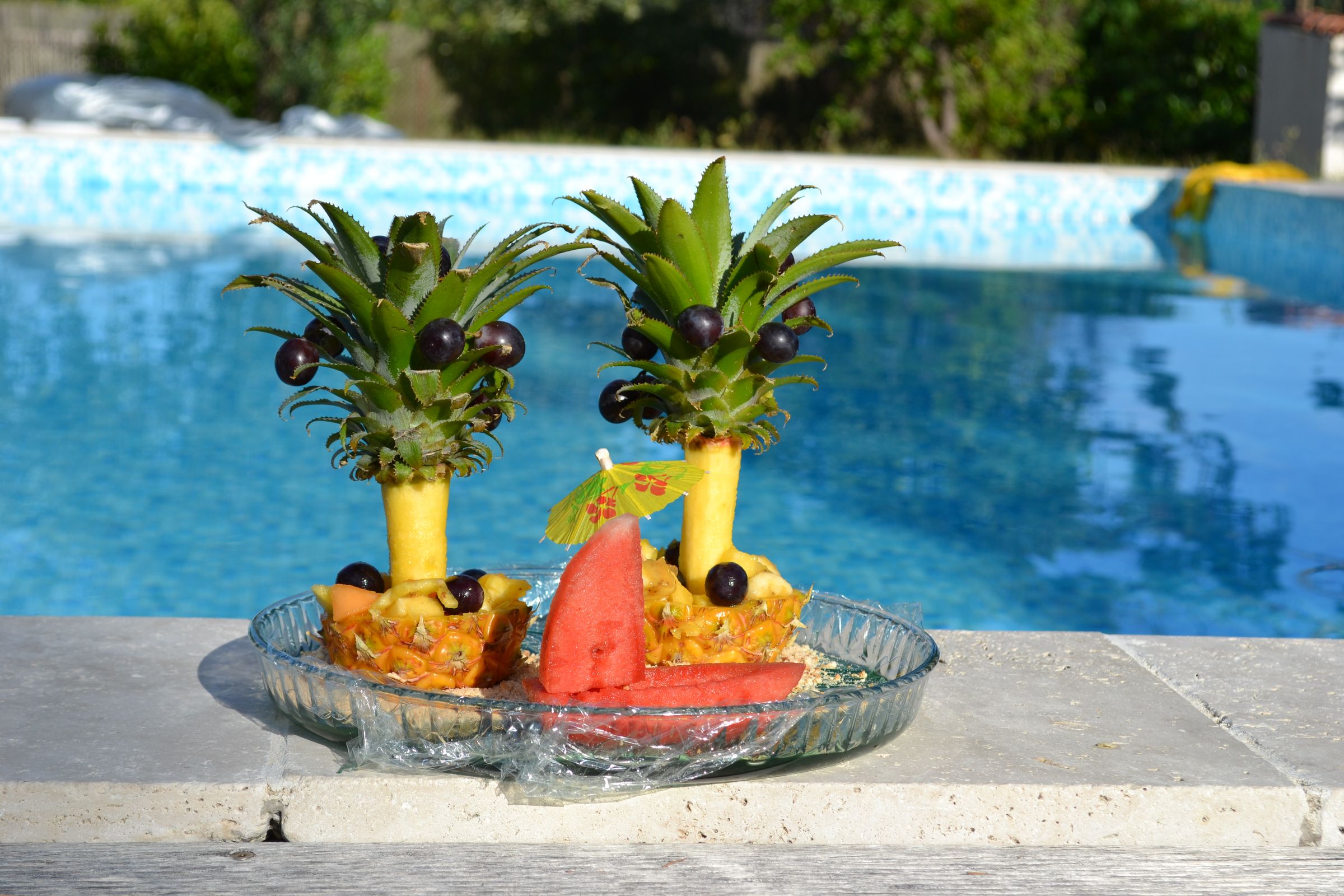 Pineapple Paradise