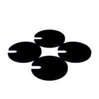 download {{ file.name }}